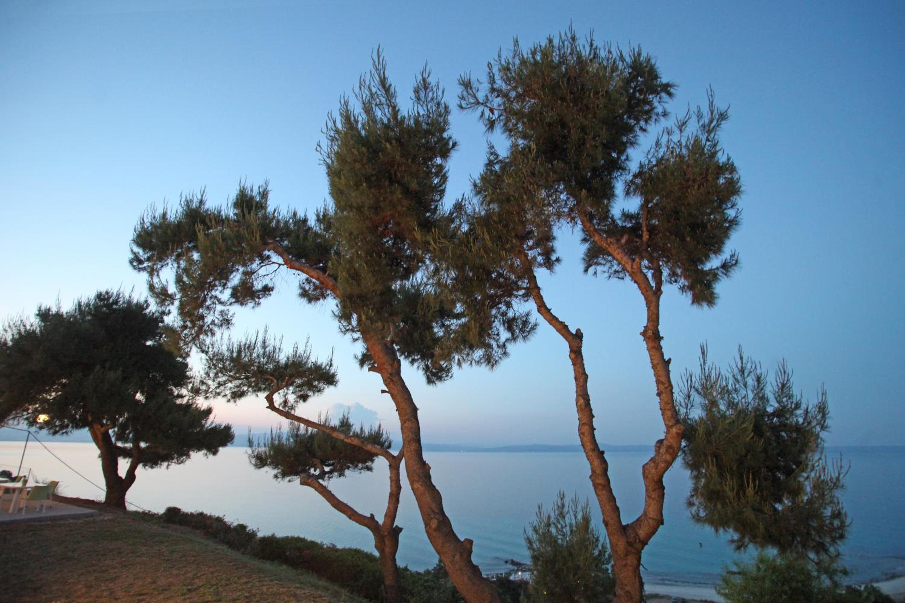 Sea View Apollo Apartments & Studios in Afytos