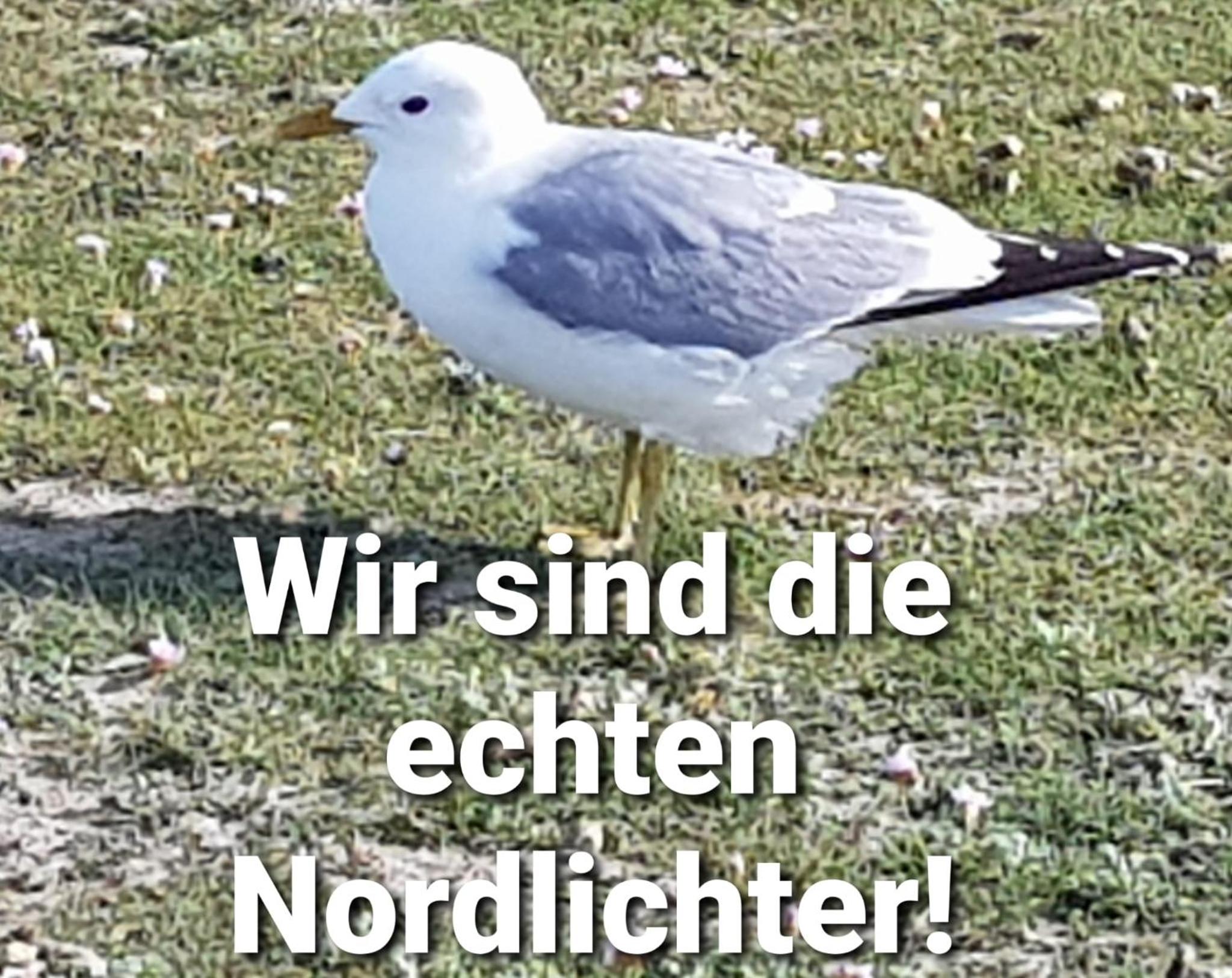 Nordsee Ferienwohnung im Künstlerhaus bei Husum - keine Monteure Arbeiter