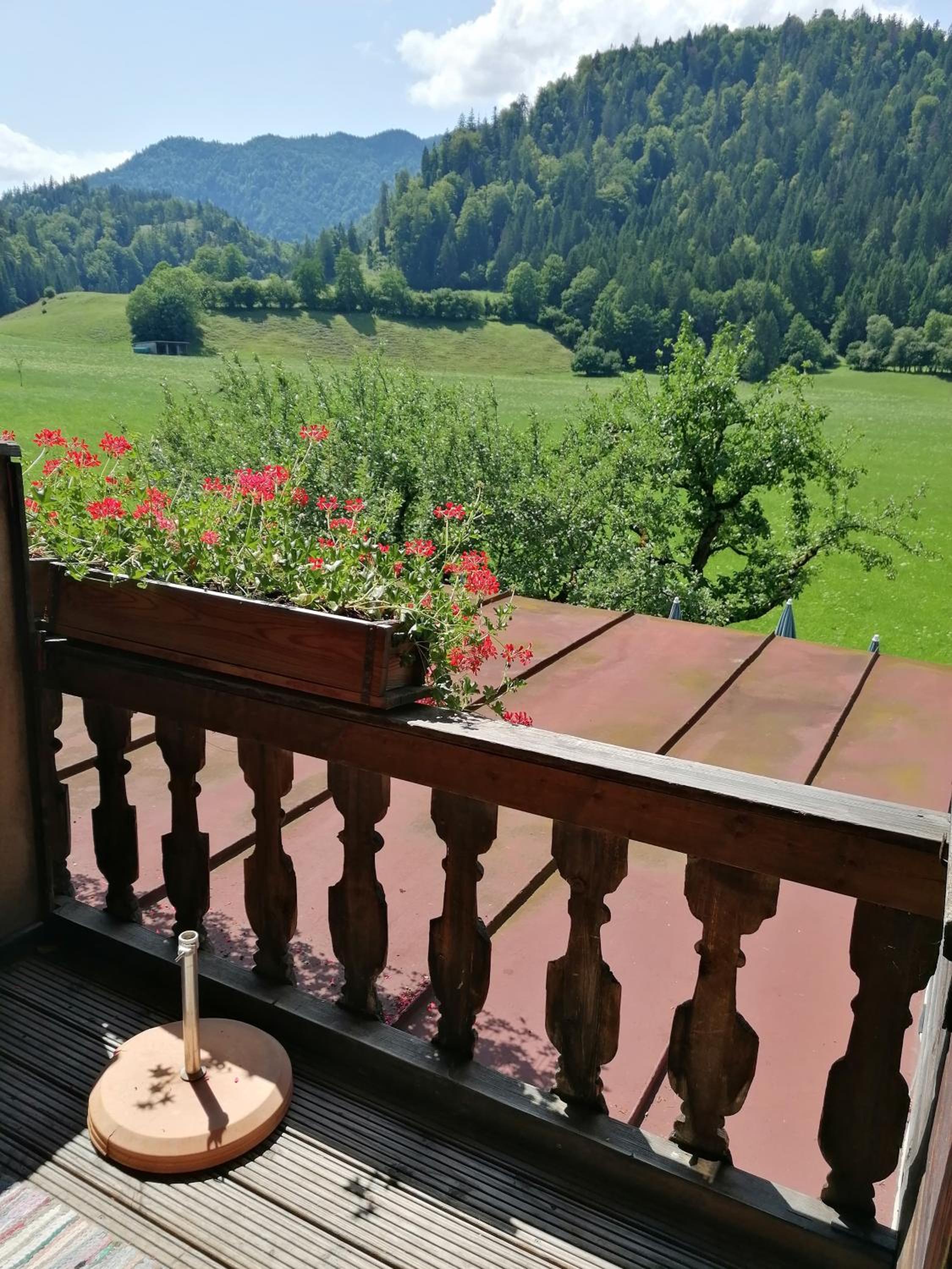 Gasthaus - Pension - Café Dörfl