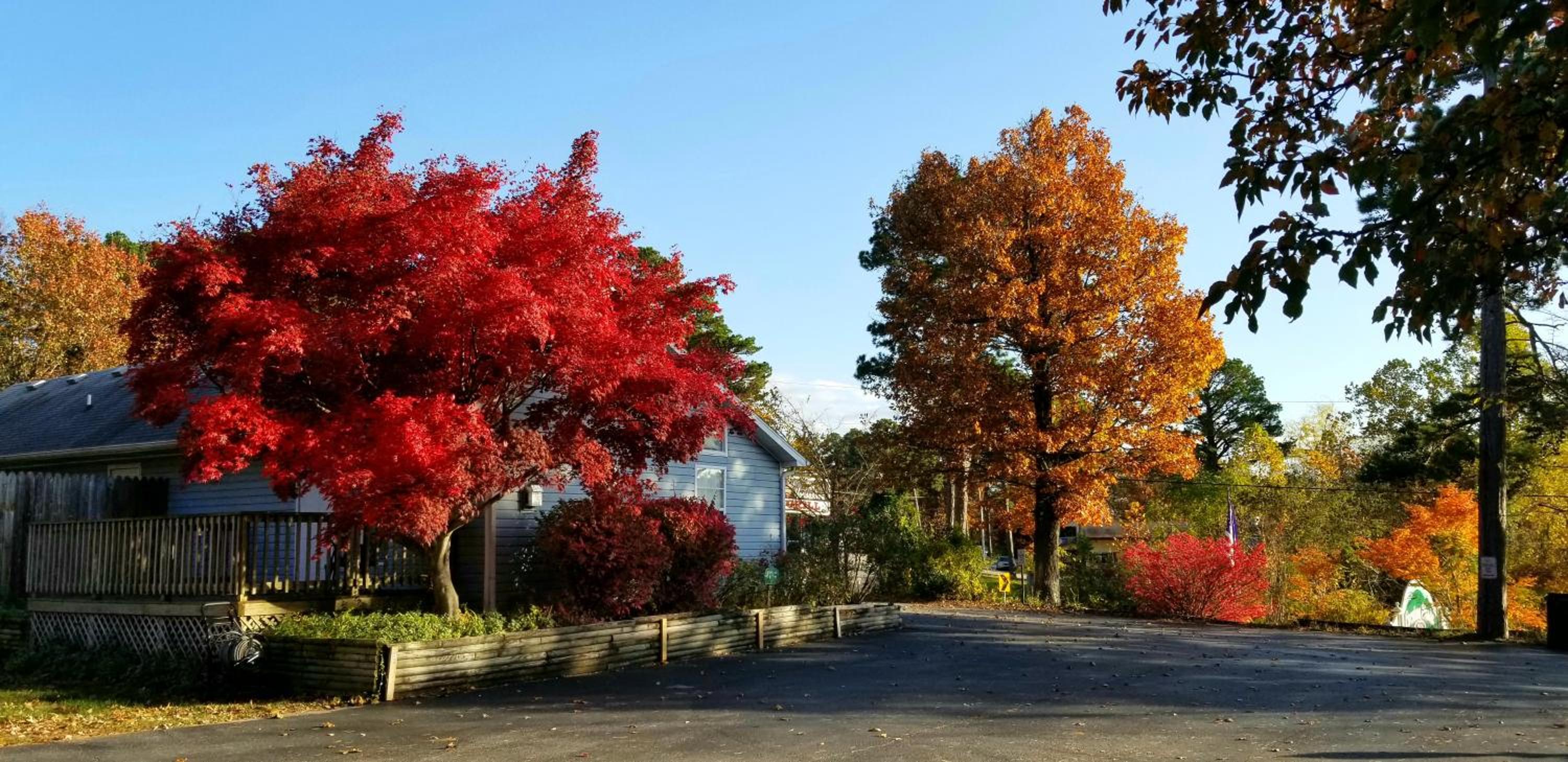 Evening Shade Inn