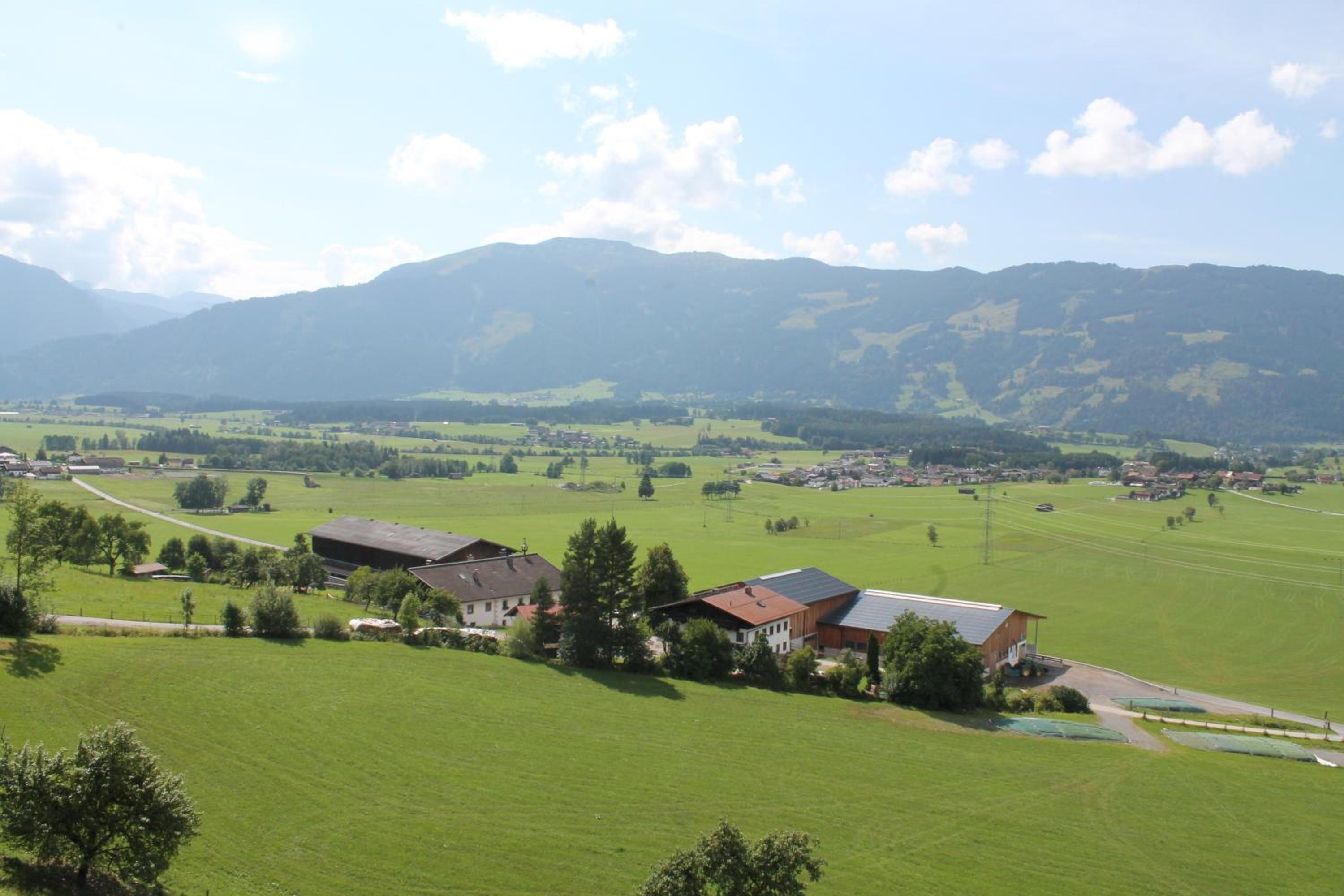 Photo 44