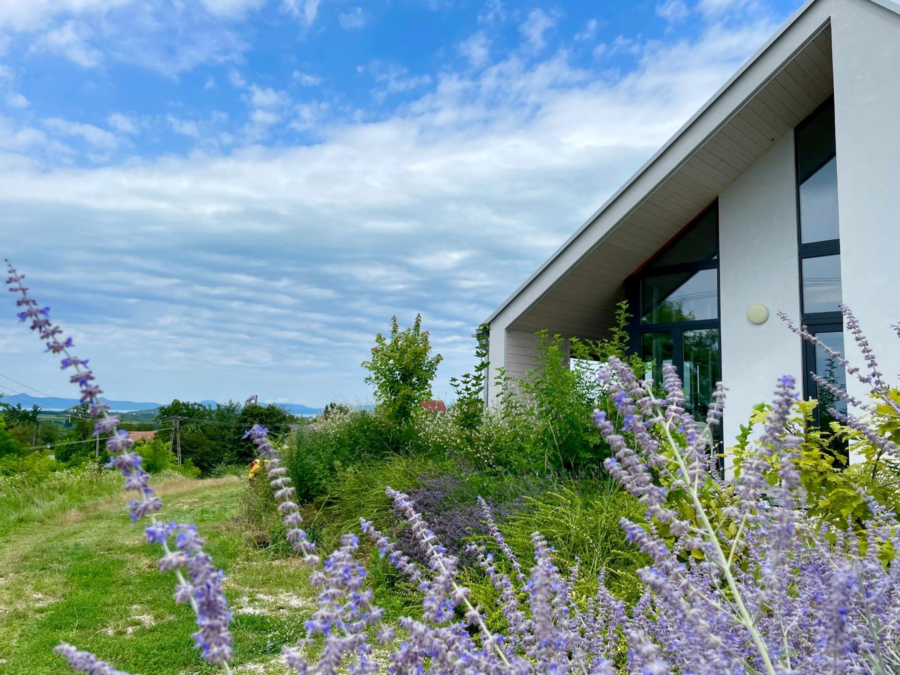 Wine & Space Lodge at Lake Balaton view 3