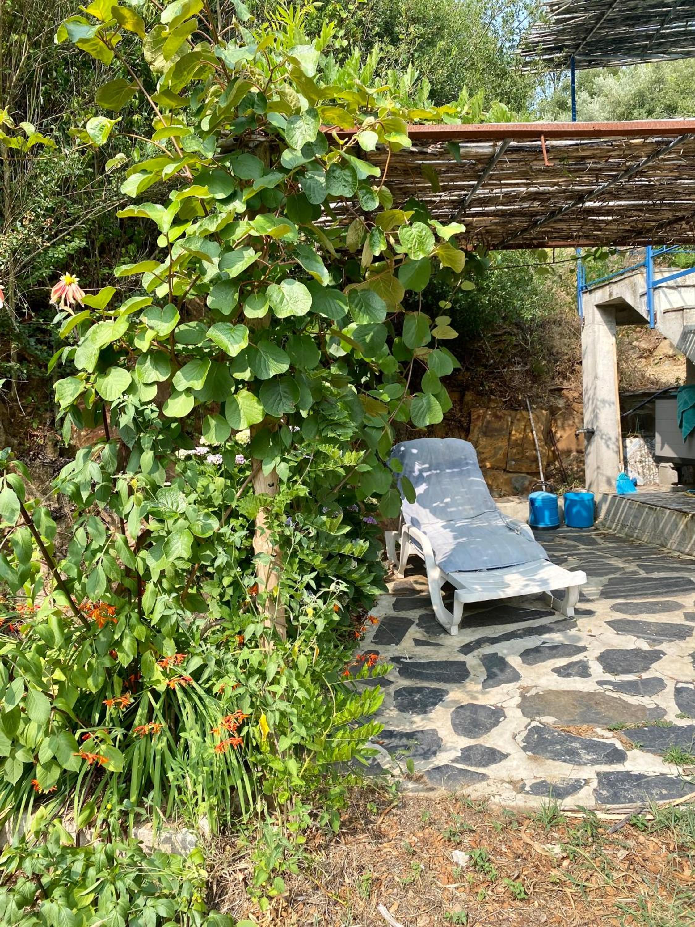 Guest Room Agro-turismo Quinta da Fonte Bed&Breakfast
