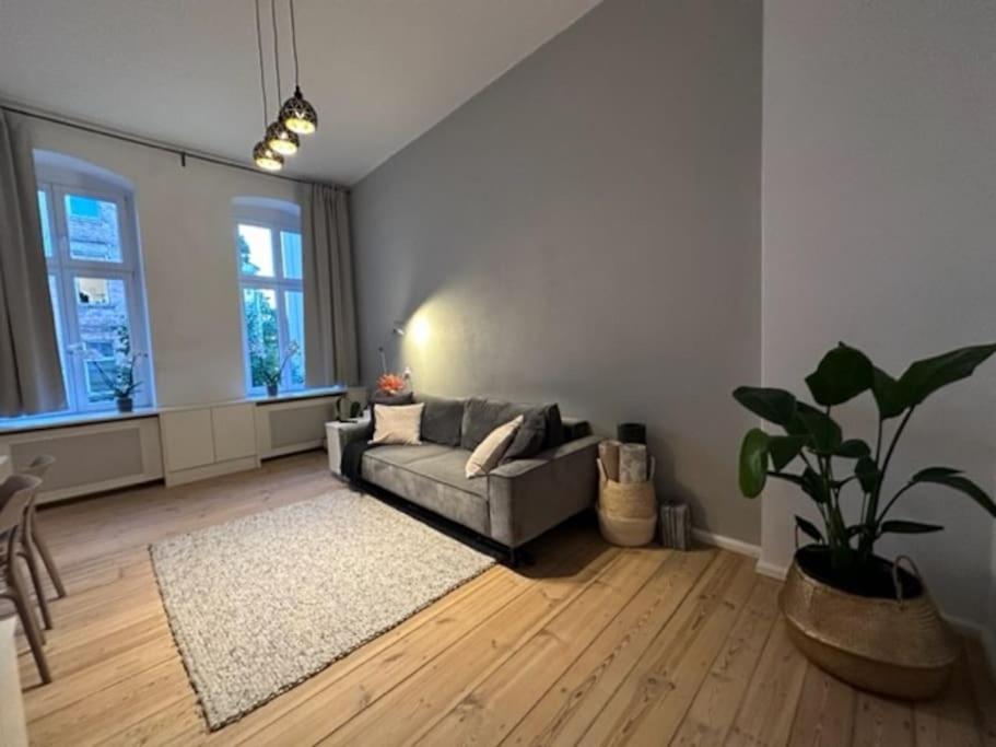 charming and cozy apartment