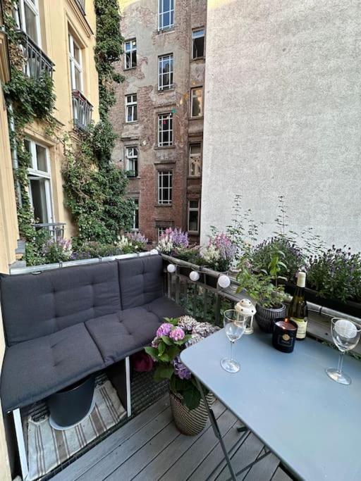 charming and cozy apartment