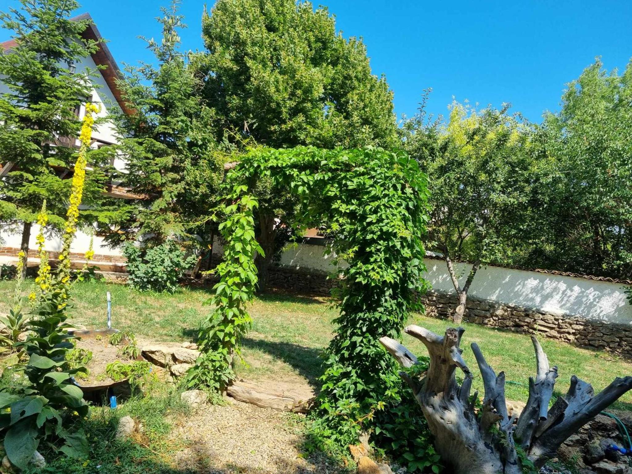 Photo 8