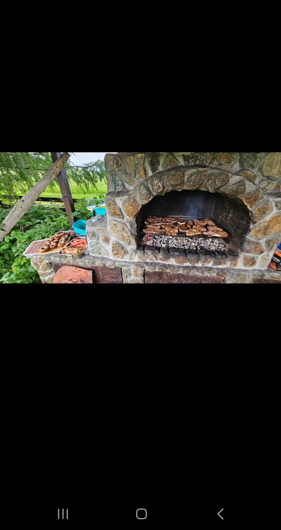 Cabana ciocanu view 3