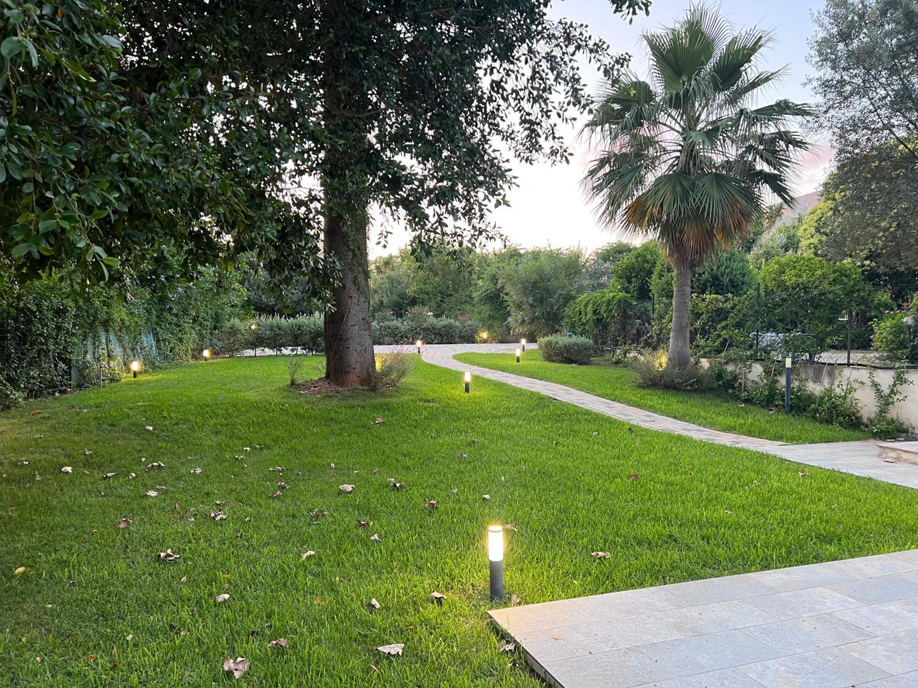 Photo 14