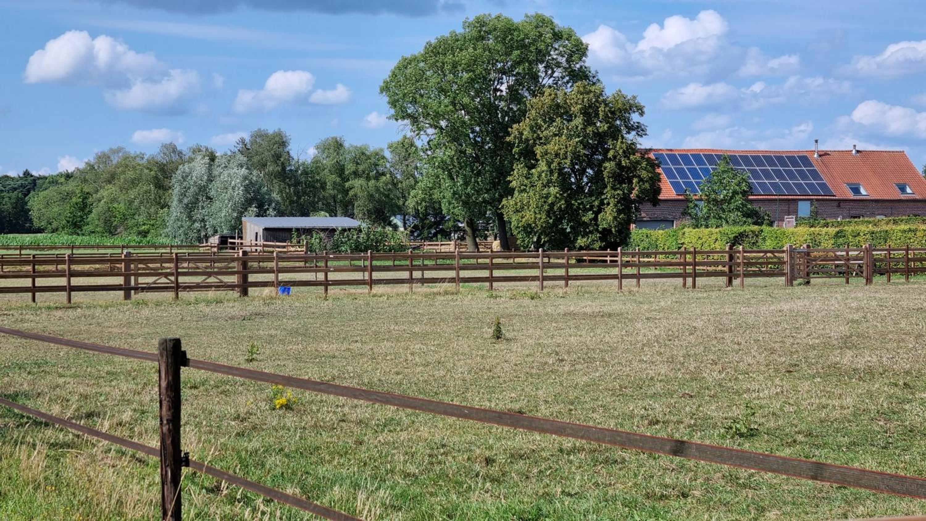 Boshovense Velden