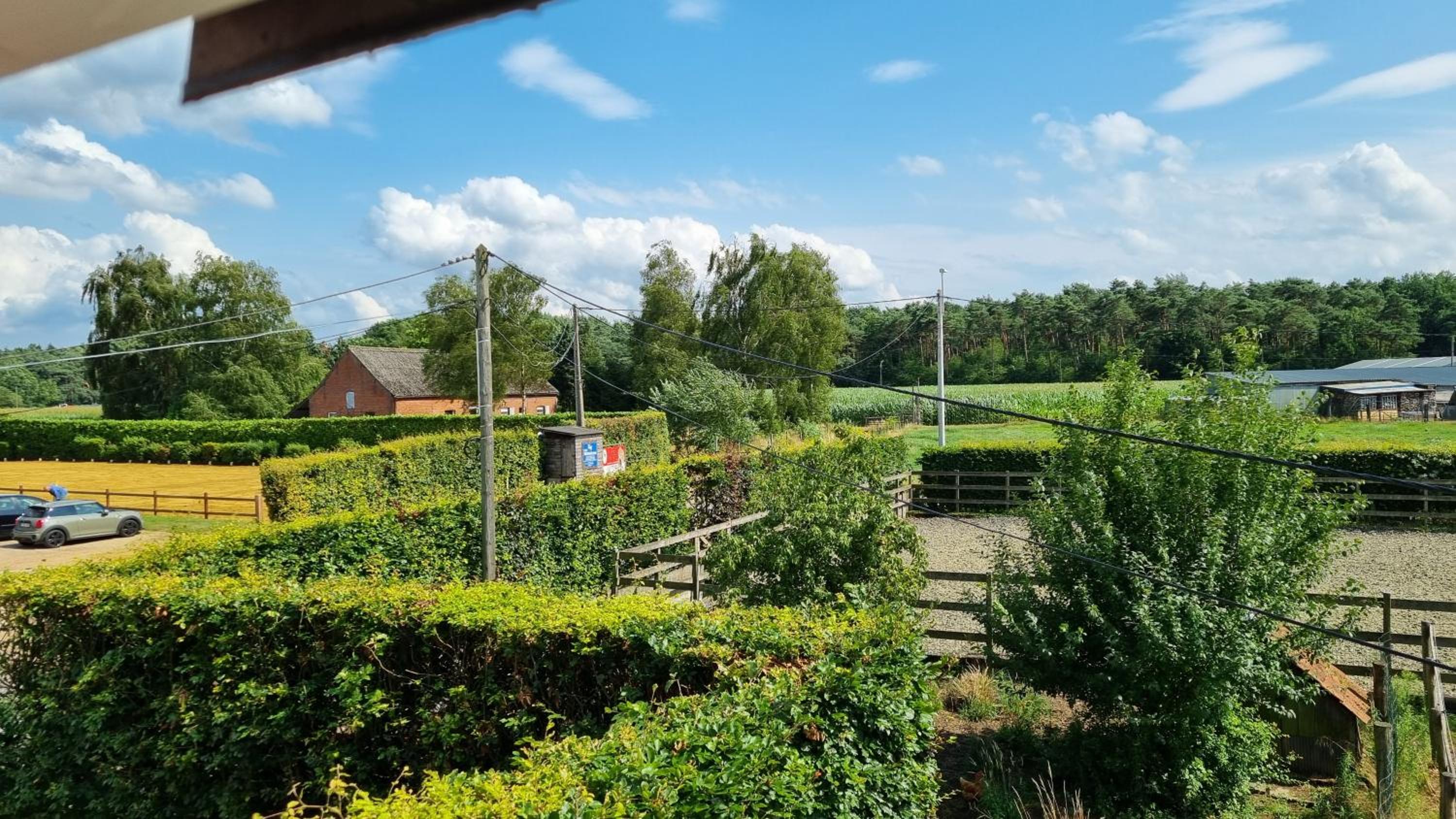Boshovense Velden