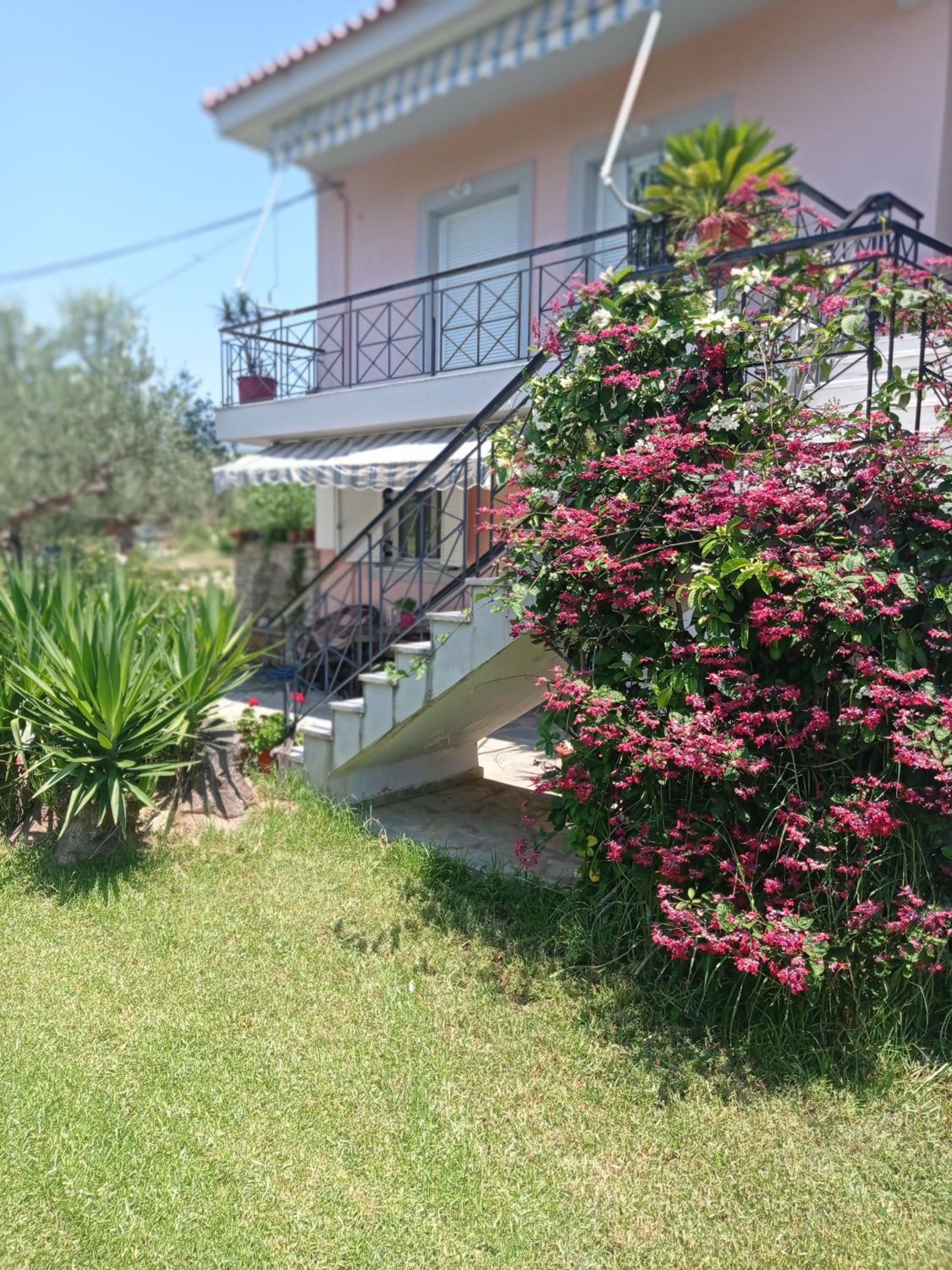 Dimitra's garden Two Houses