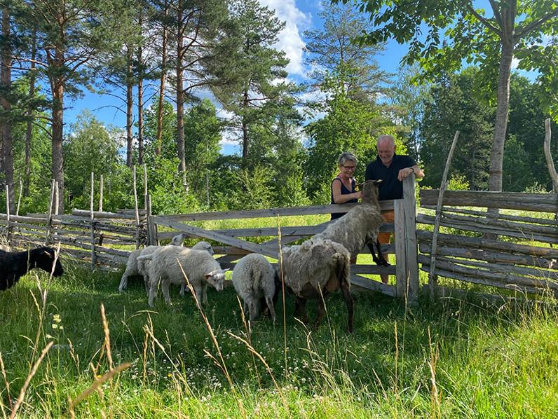 Vimmerby Stugby view 3