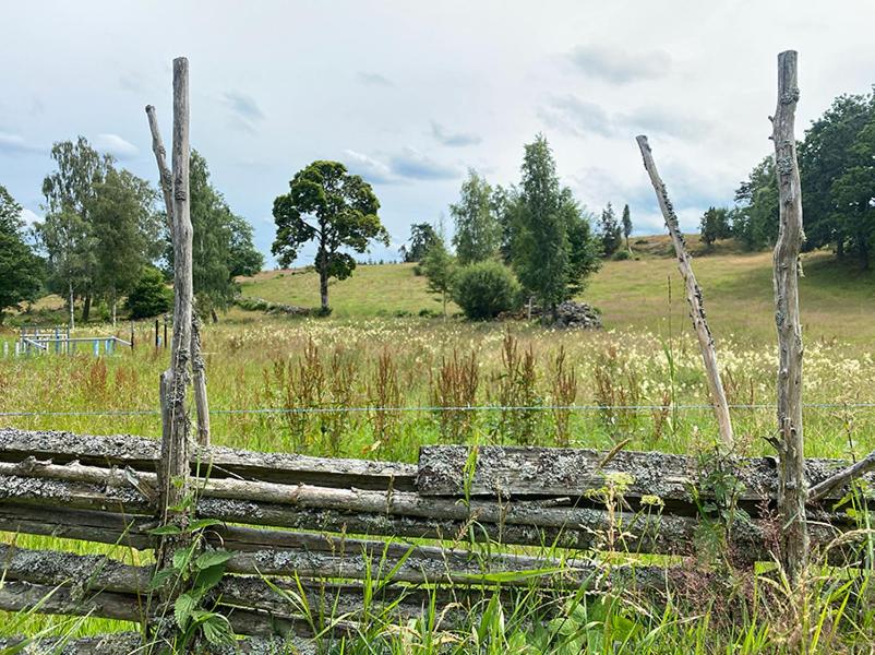Vimmerby Stugby view 4