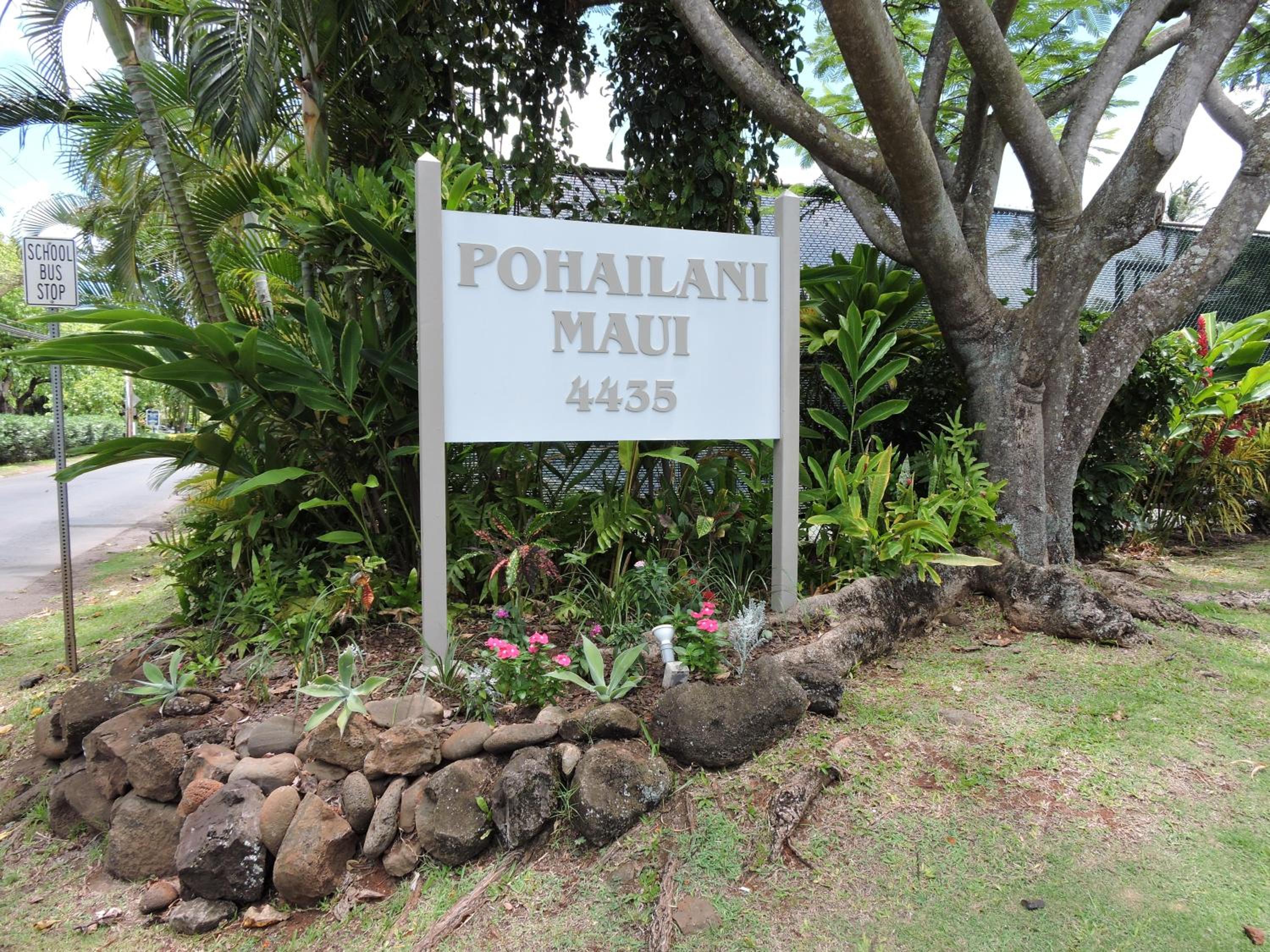 Pohailani #102