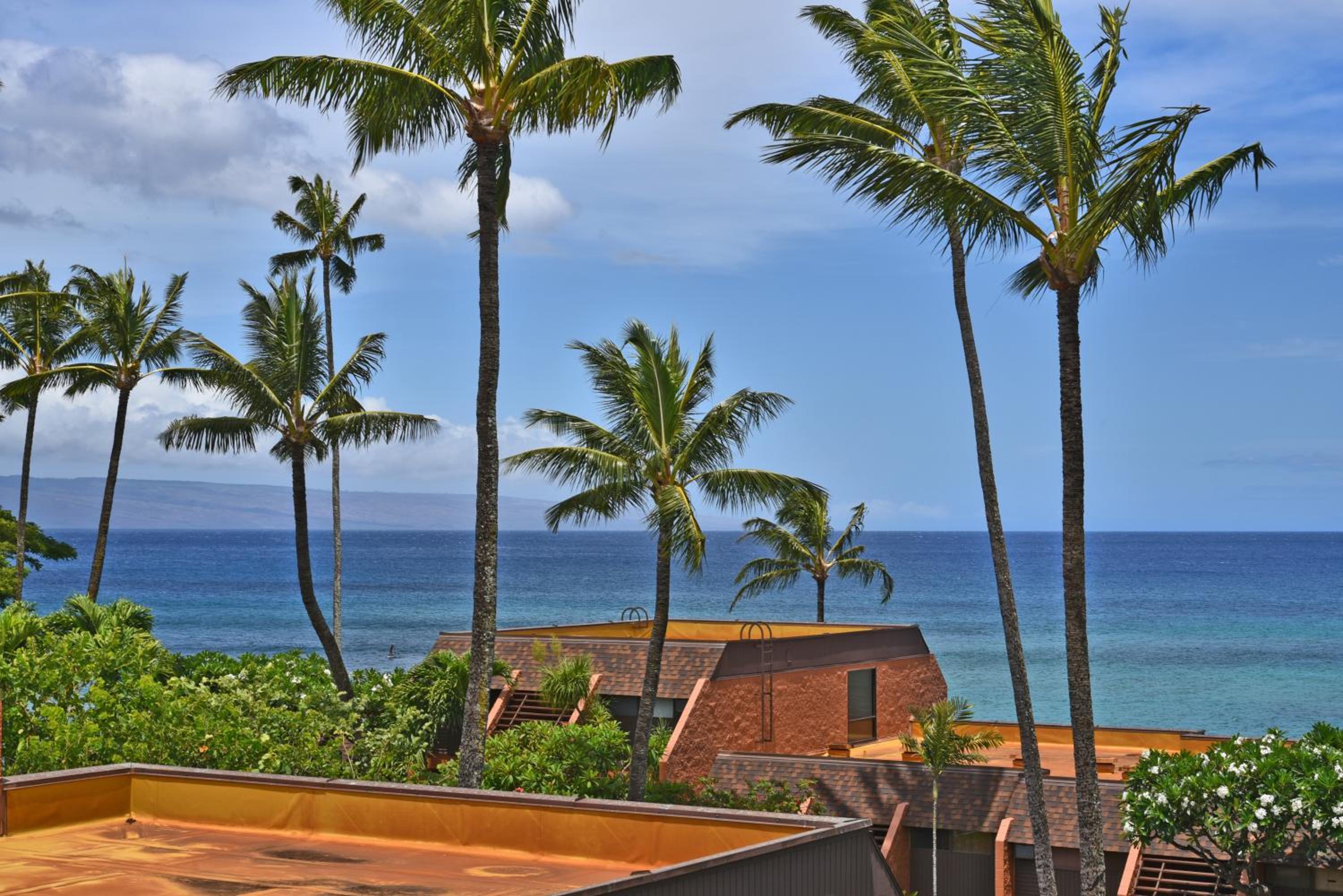 Kuleana #206 view 3