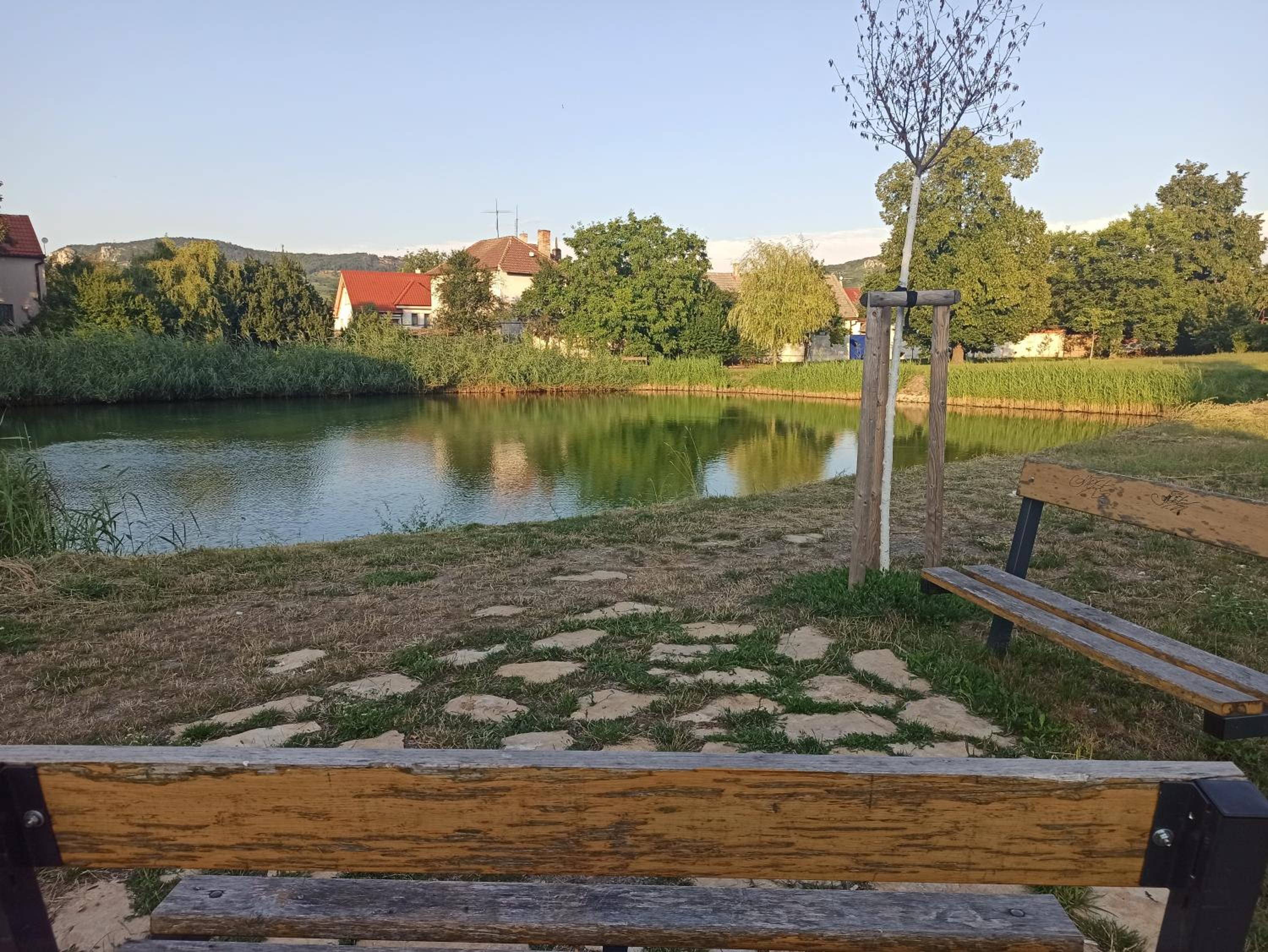 Photo 20
