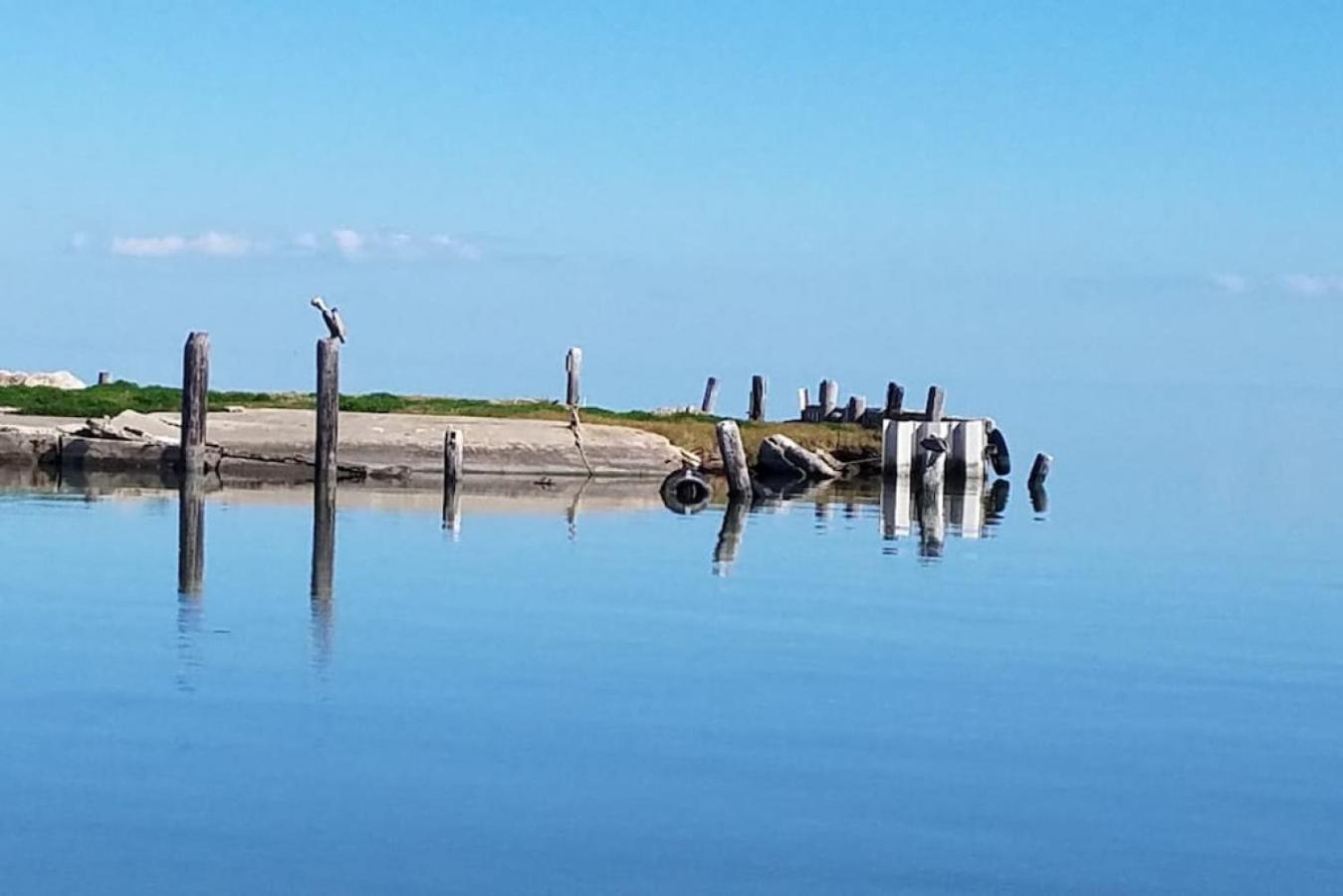 Indianola Fishing Marina Blue Shark view 3