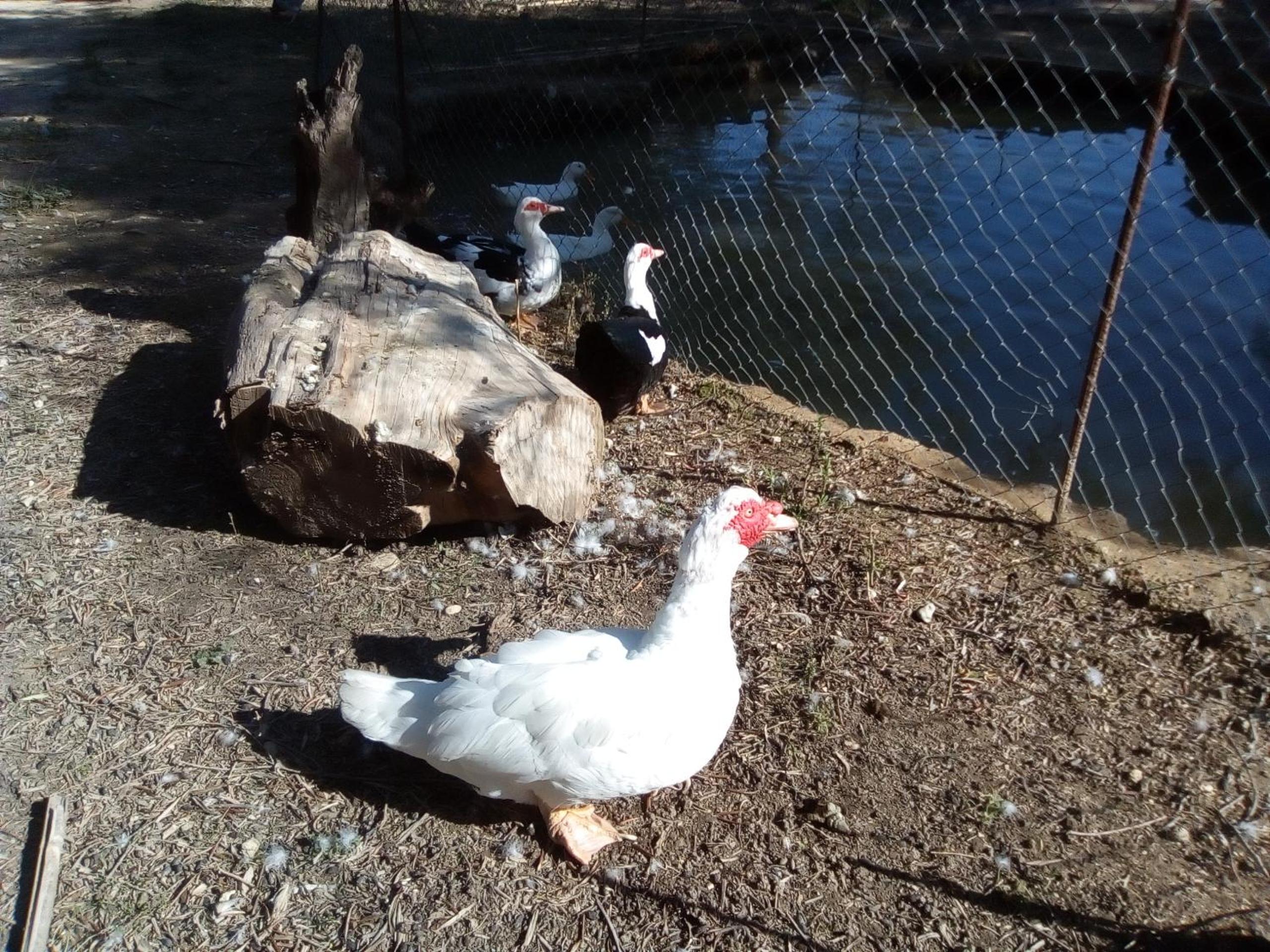 Photo 14