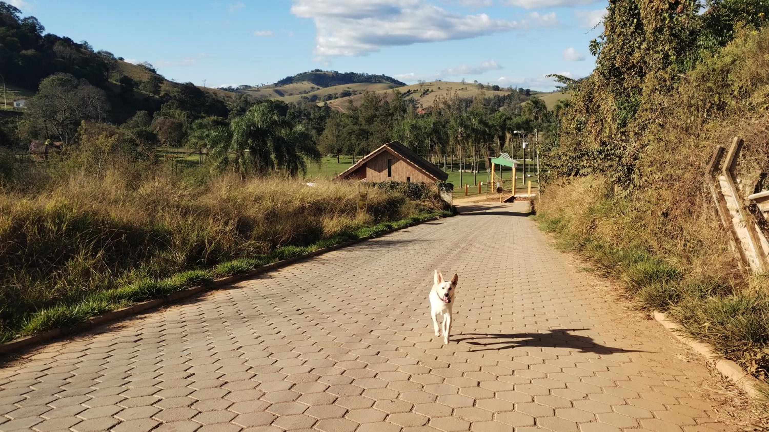 EcoHousing Gaia Terranova Hospedagem eco pet friendly