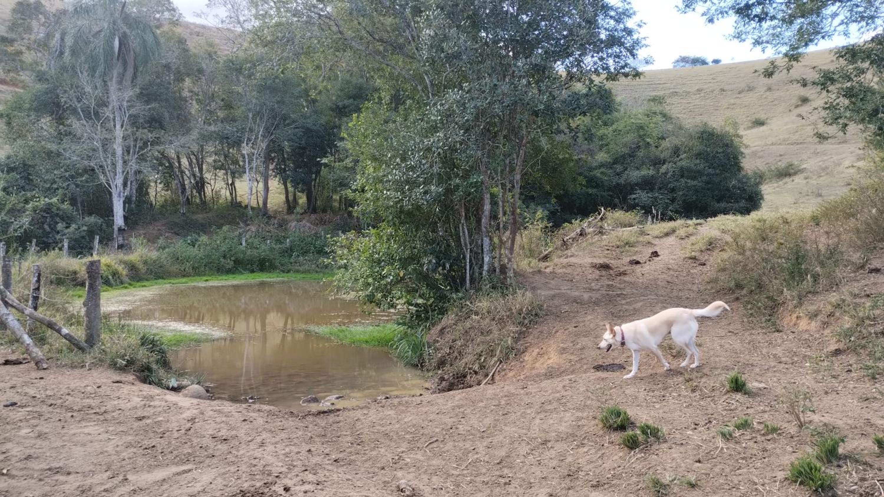 EcoHousing Gaia Terranova Hospedagem eco pet friendly