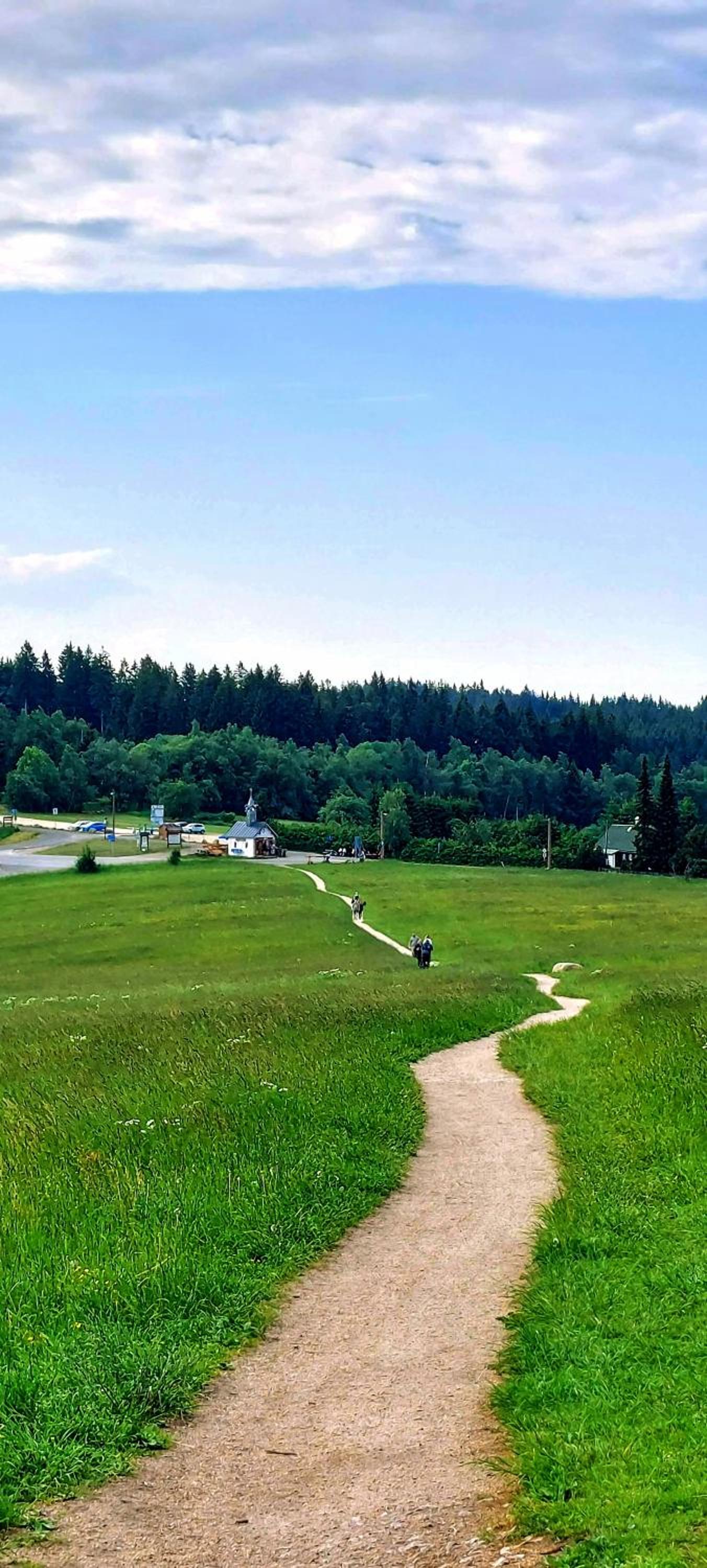 Apartmán Na kraji lesa
