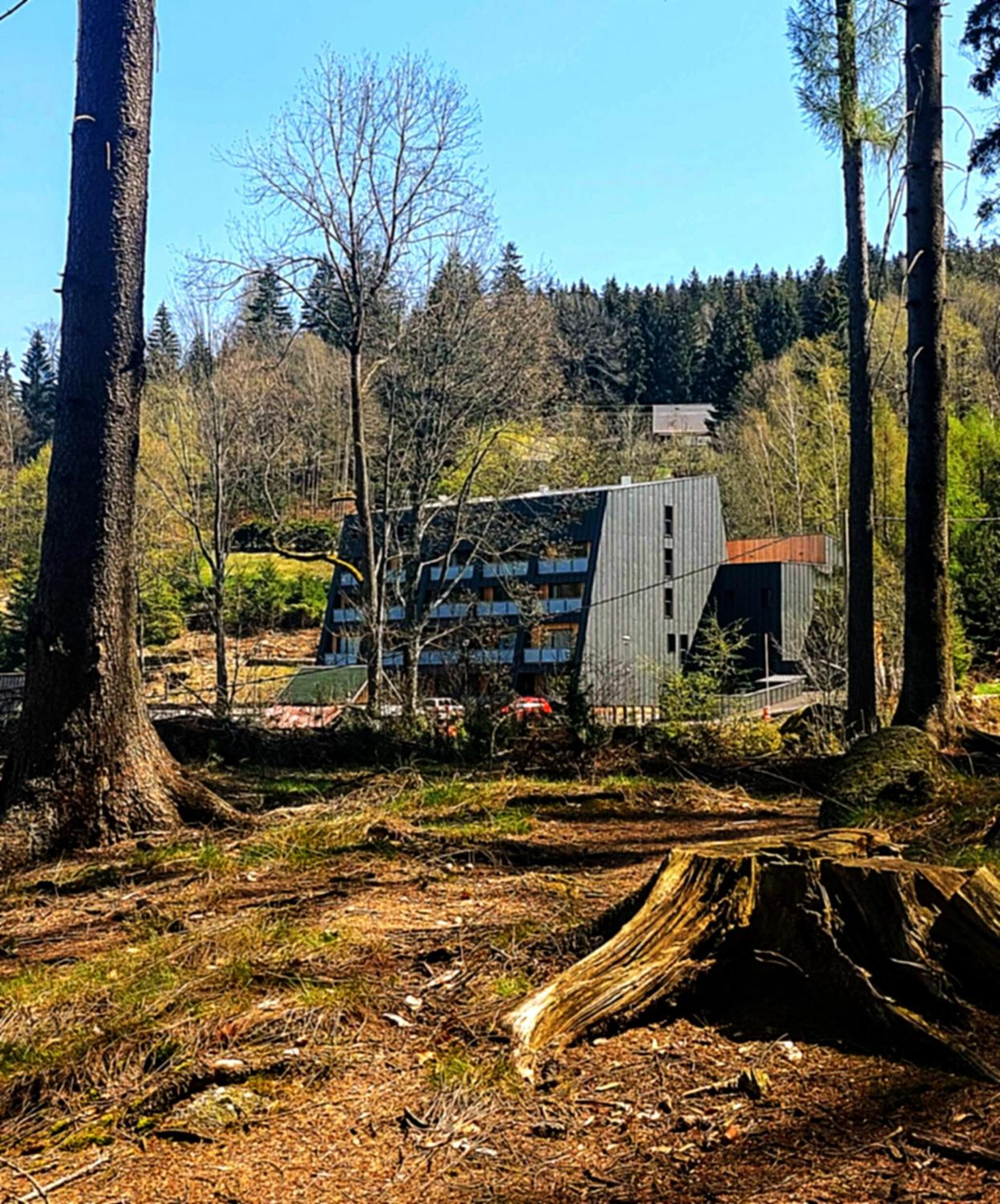 Apartmán Na kraji lesa