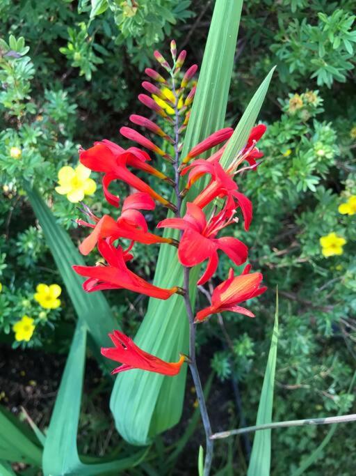 Floral'Anse