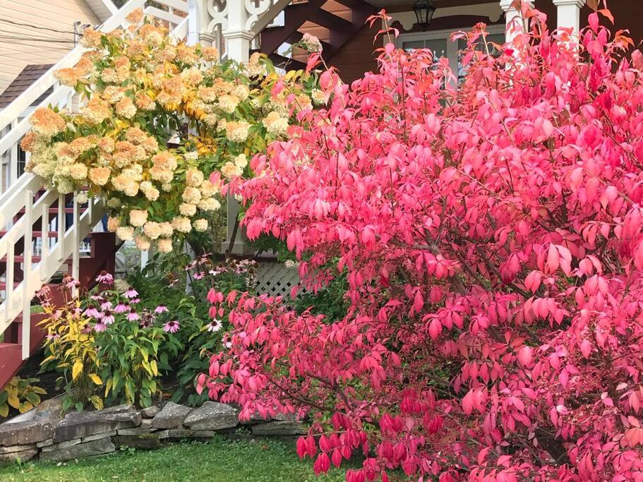 Floral'Anse