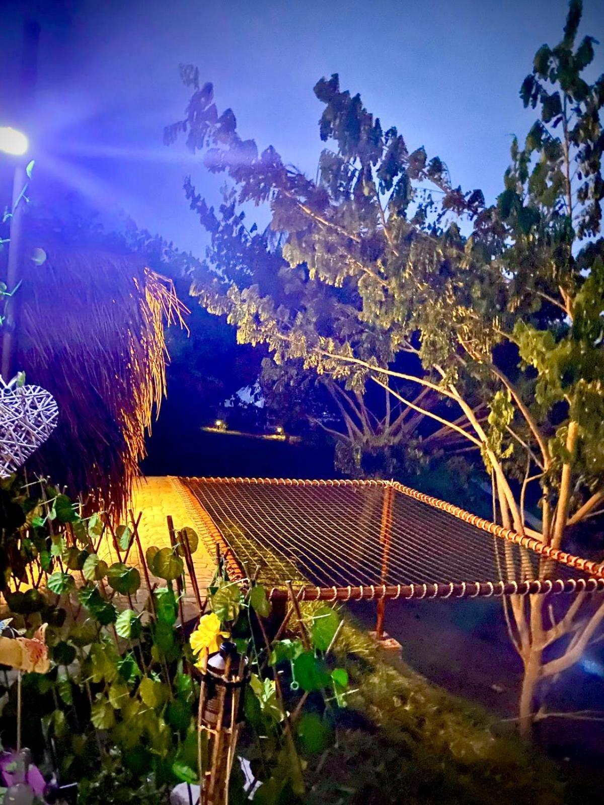 Mangoo Glamping view 3