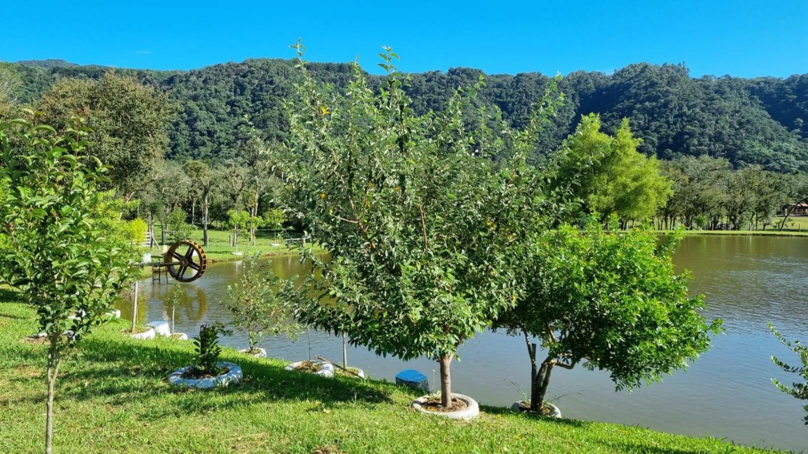 Casa de Campo e Hospedagem Fazenda Esperança