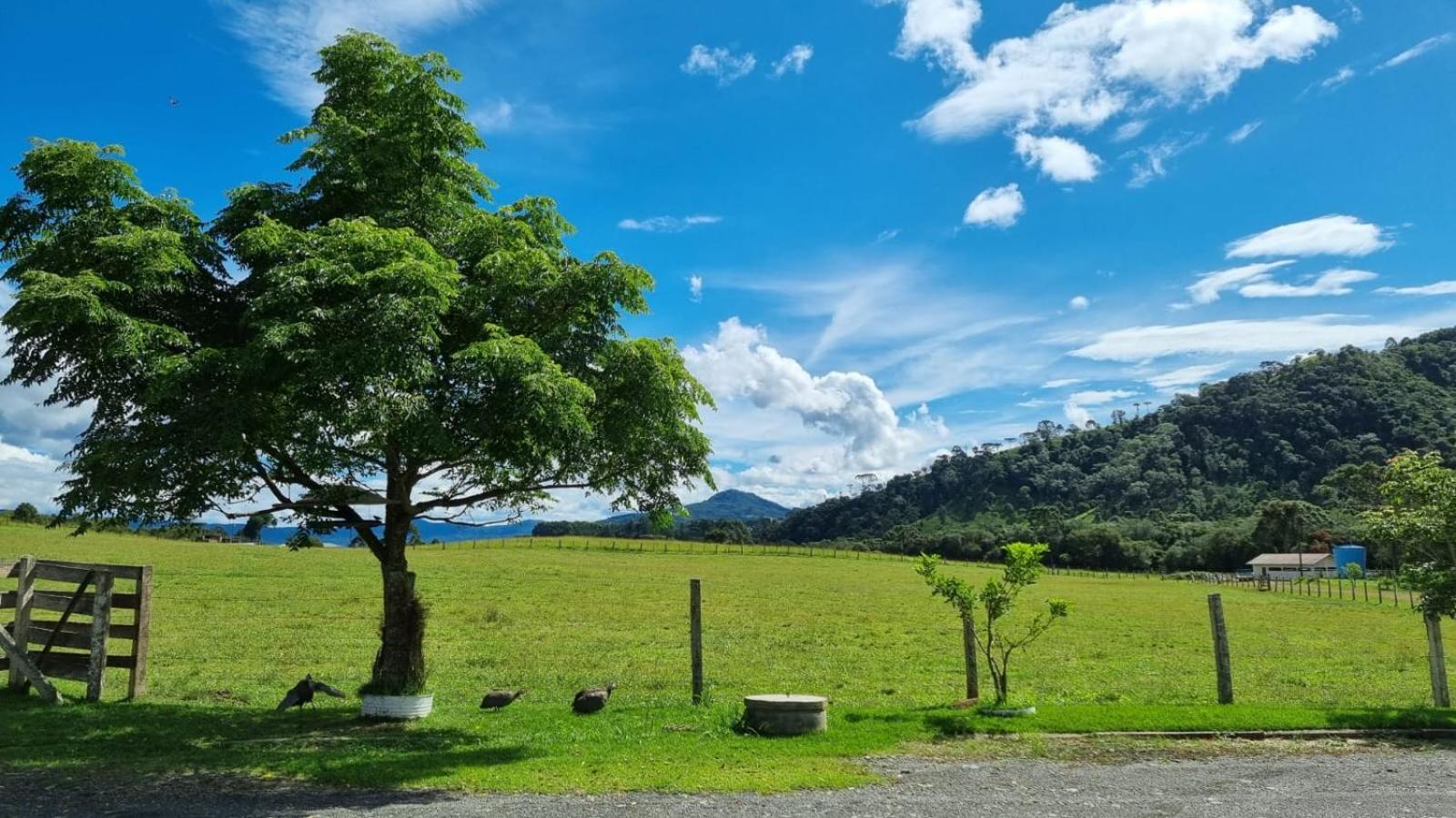 Casa de Campo e Hospedagem Fazenda Esperança