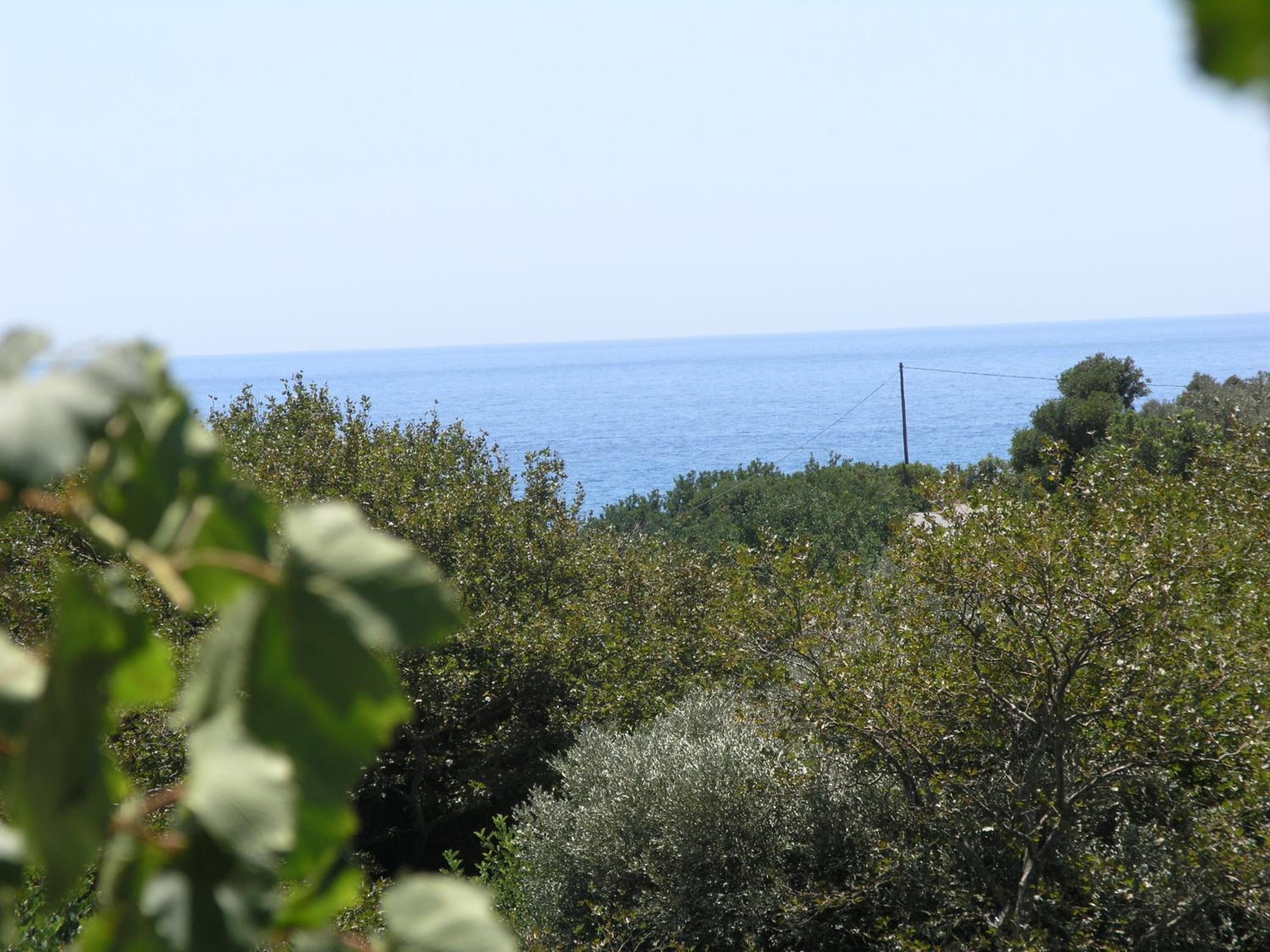 Olive tree Cottages en Palaiochóra — other