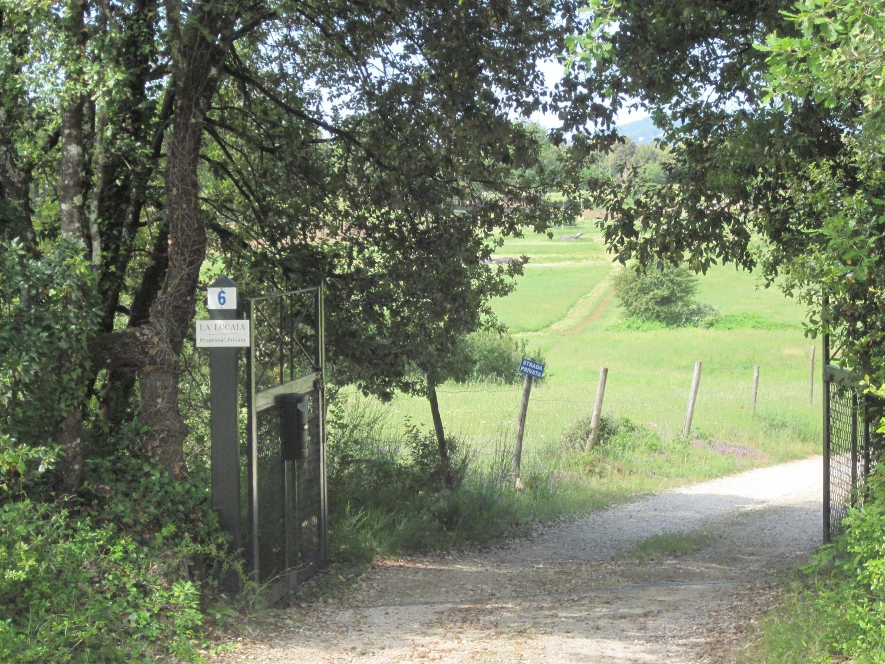 Photo 46