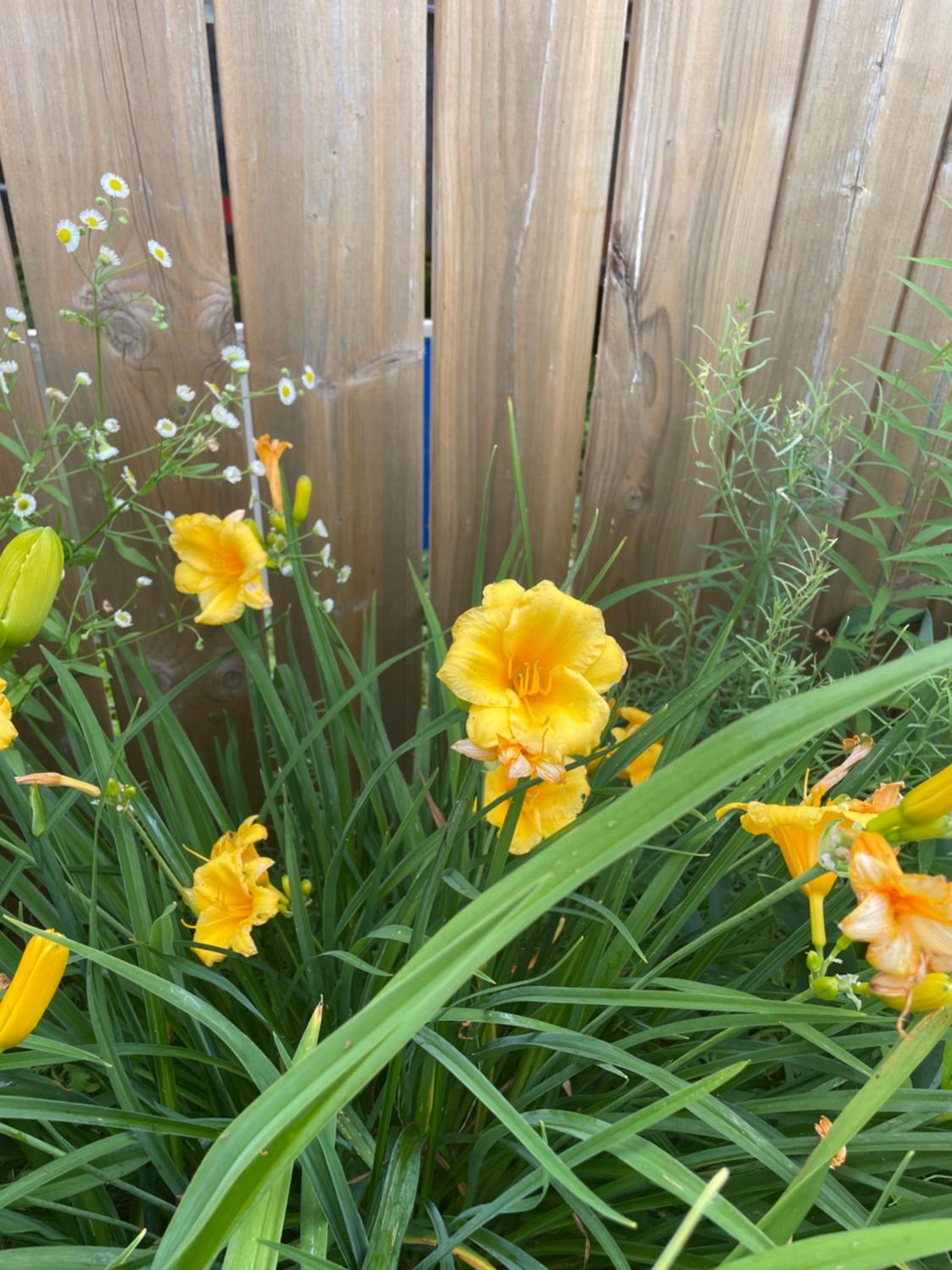 Photo 22