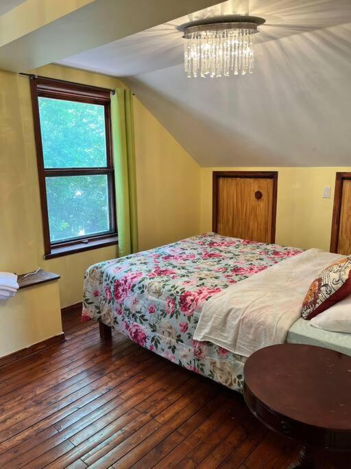 Levis Vacations - Petite maison 2 bedrooms - Property Image 4