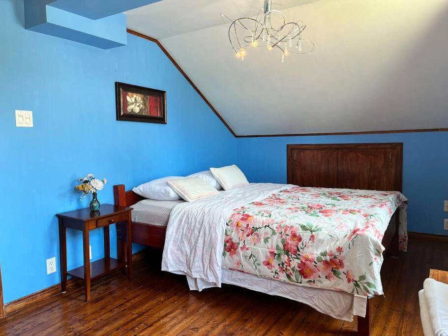 Levis Vacations - Petite maison 2 bedrooms - Property Image 7