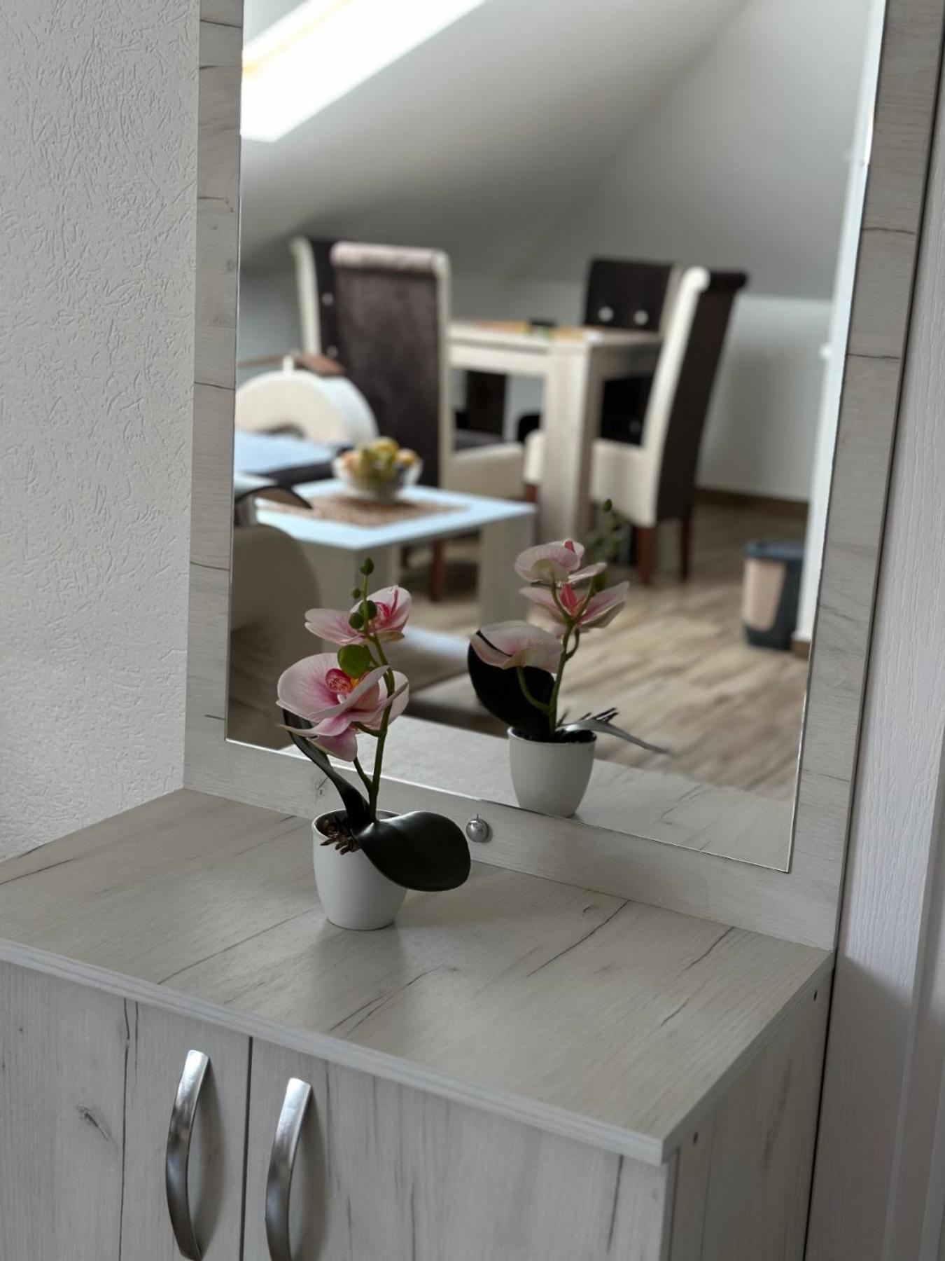 Apartmani Zvezdana view 2