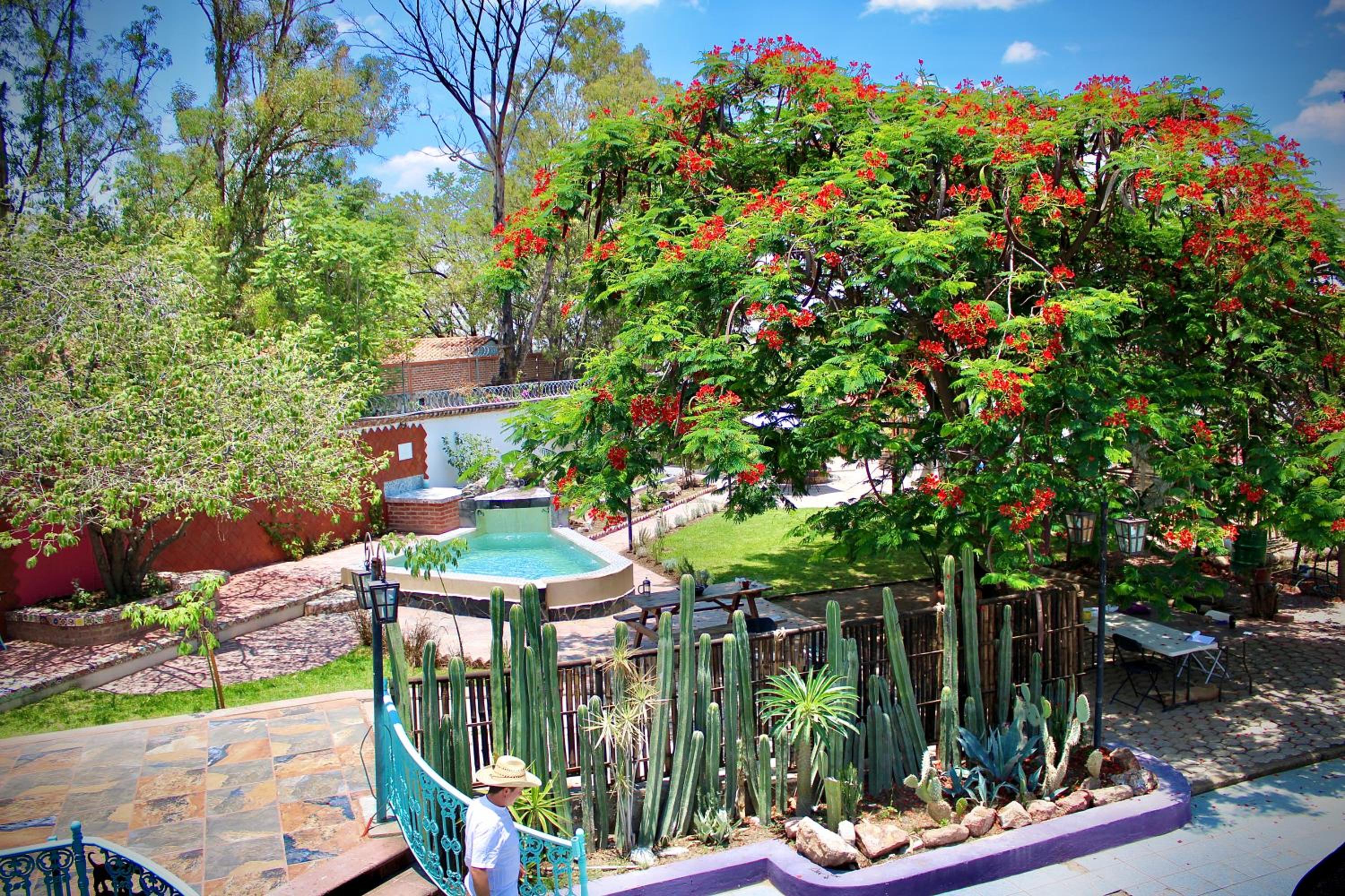 Casa Hala LOFT & SPA LUXURY view 5