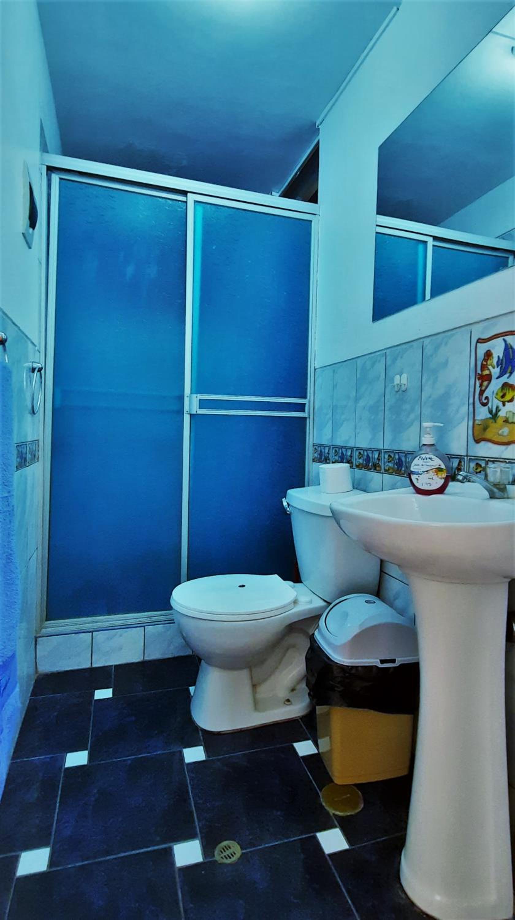 DEPARTAMENTO CÉNTRICO , CÓMODO Y ECONÓMICO EN CUSCO