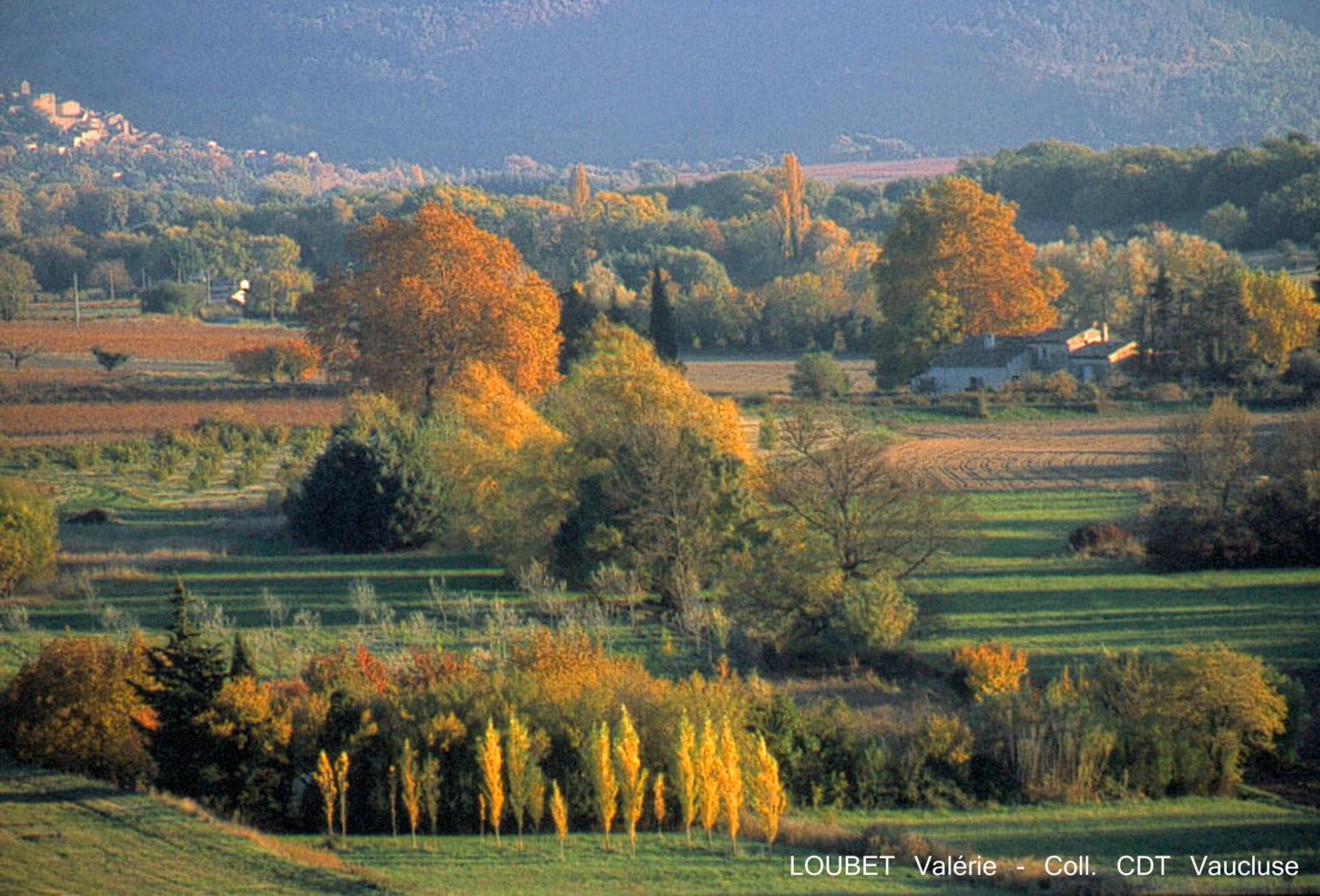 Les Terrasses - Gordes