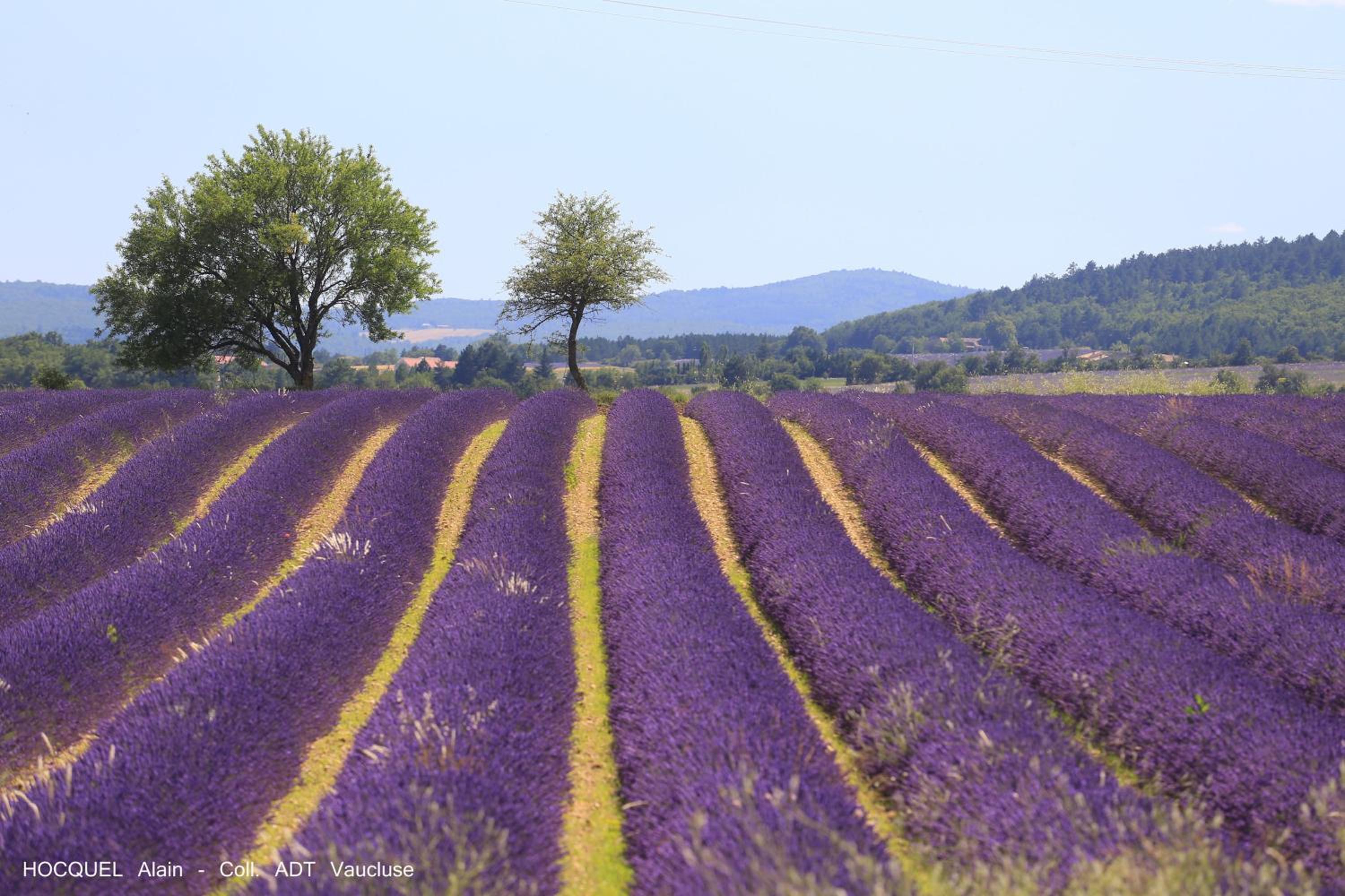 Les Terrasses - Gordes