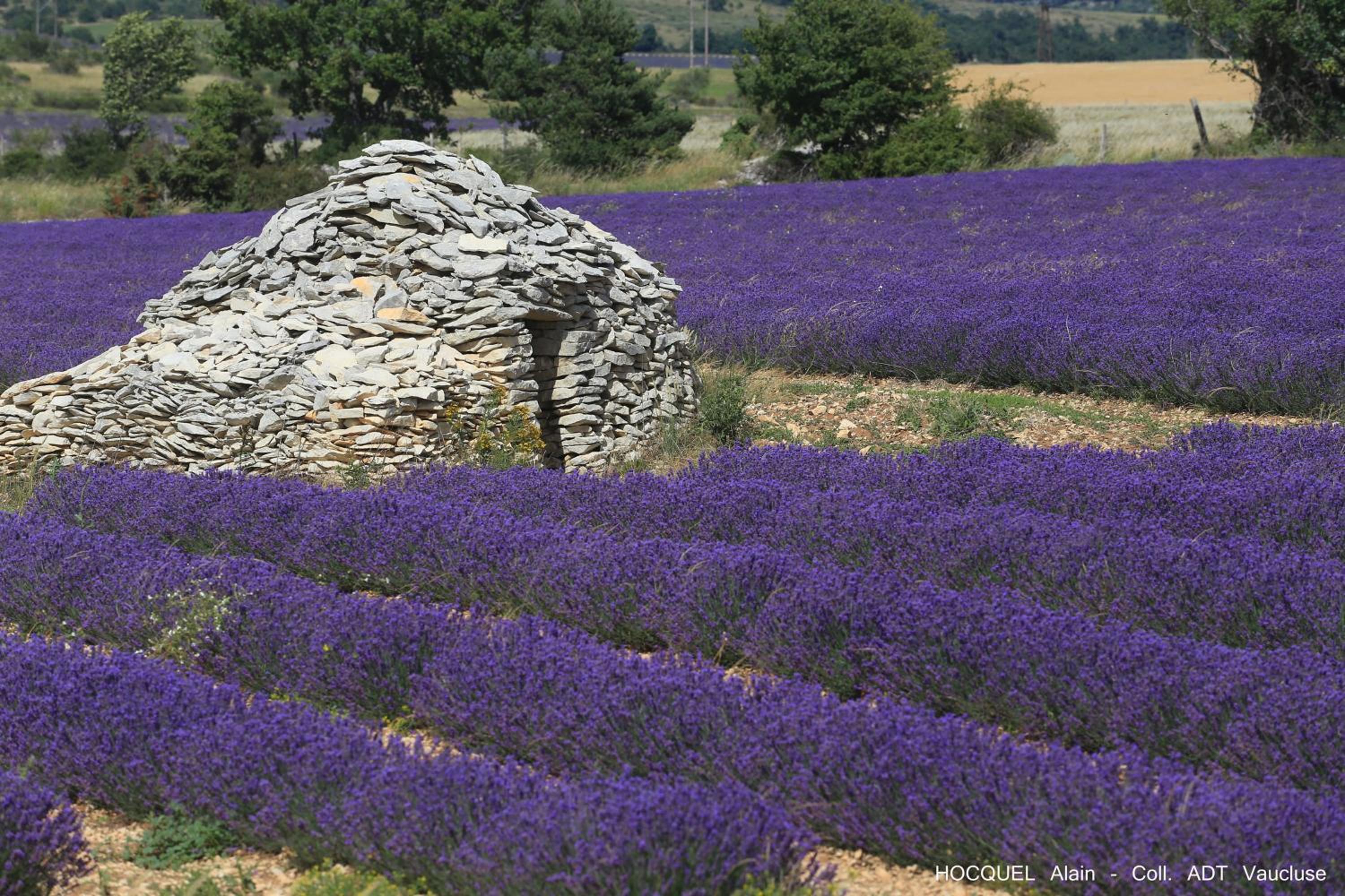Les Terrasses - Gordes