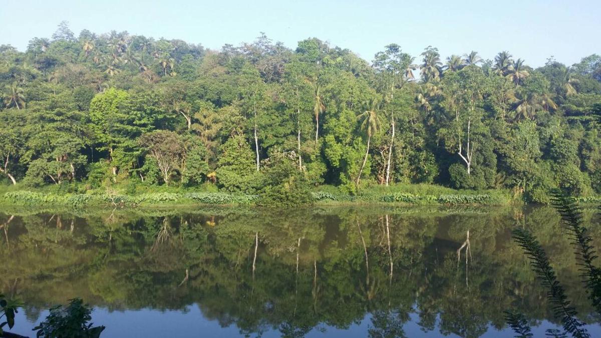 Chaminrich Homestay view 2