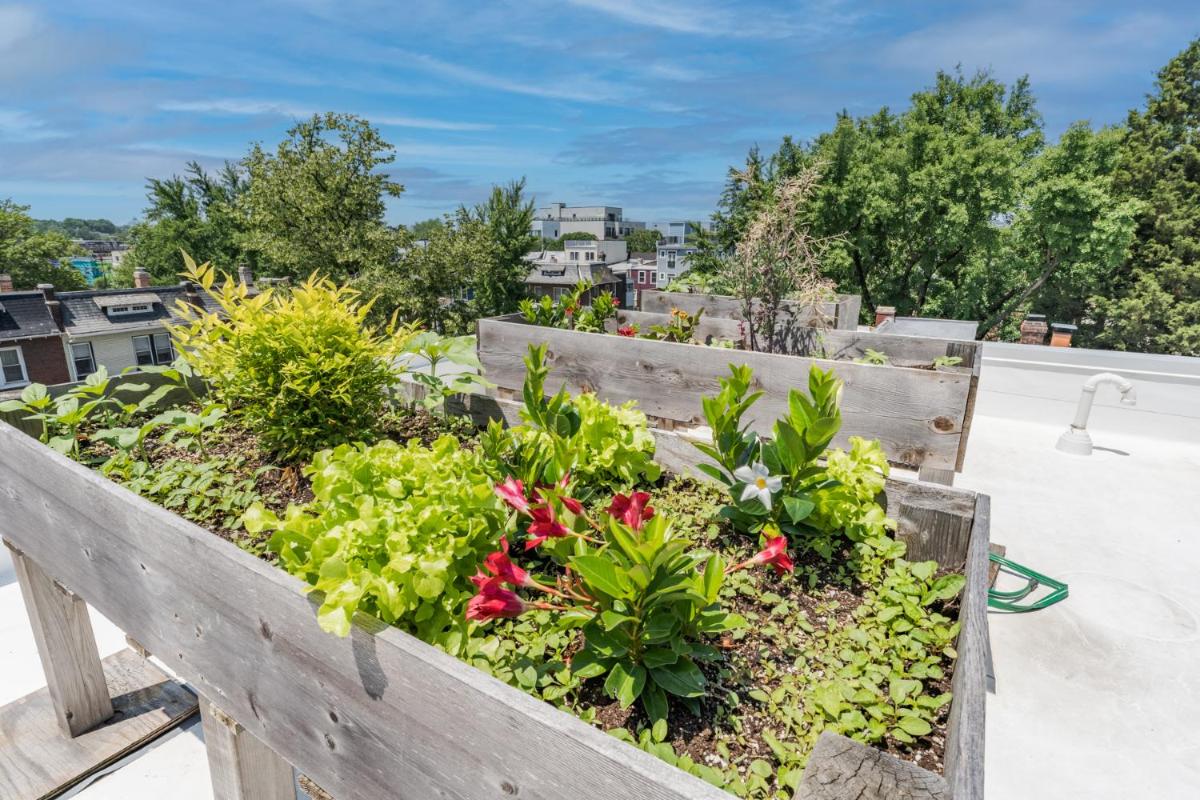 Luxe City Retreat Roof Deck Getaway view 4