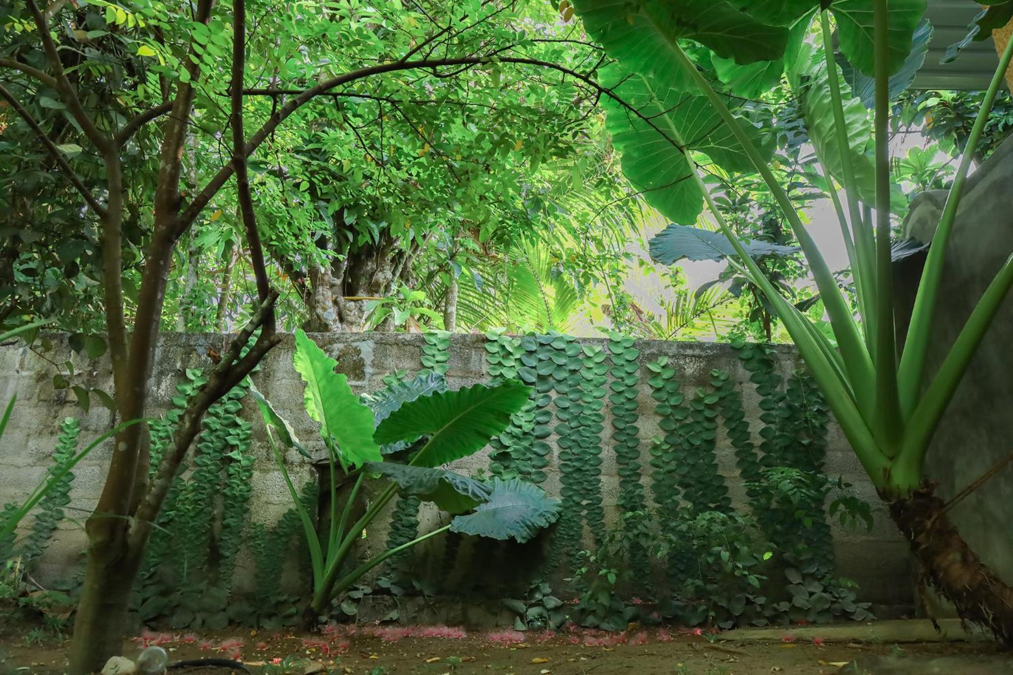 Shady Cottage view 2