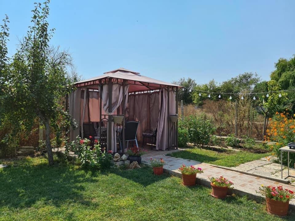 House Varna-1