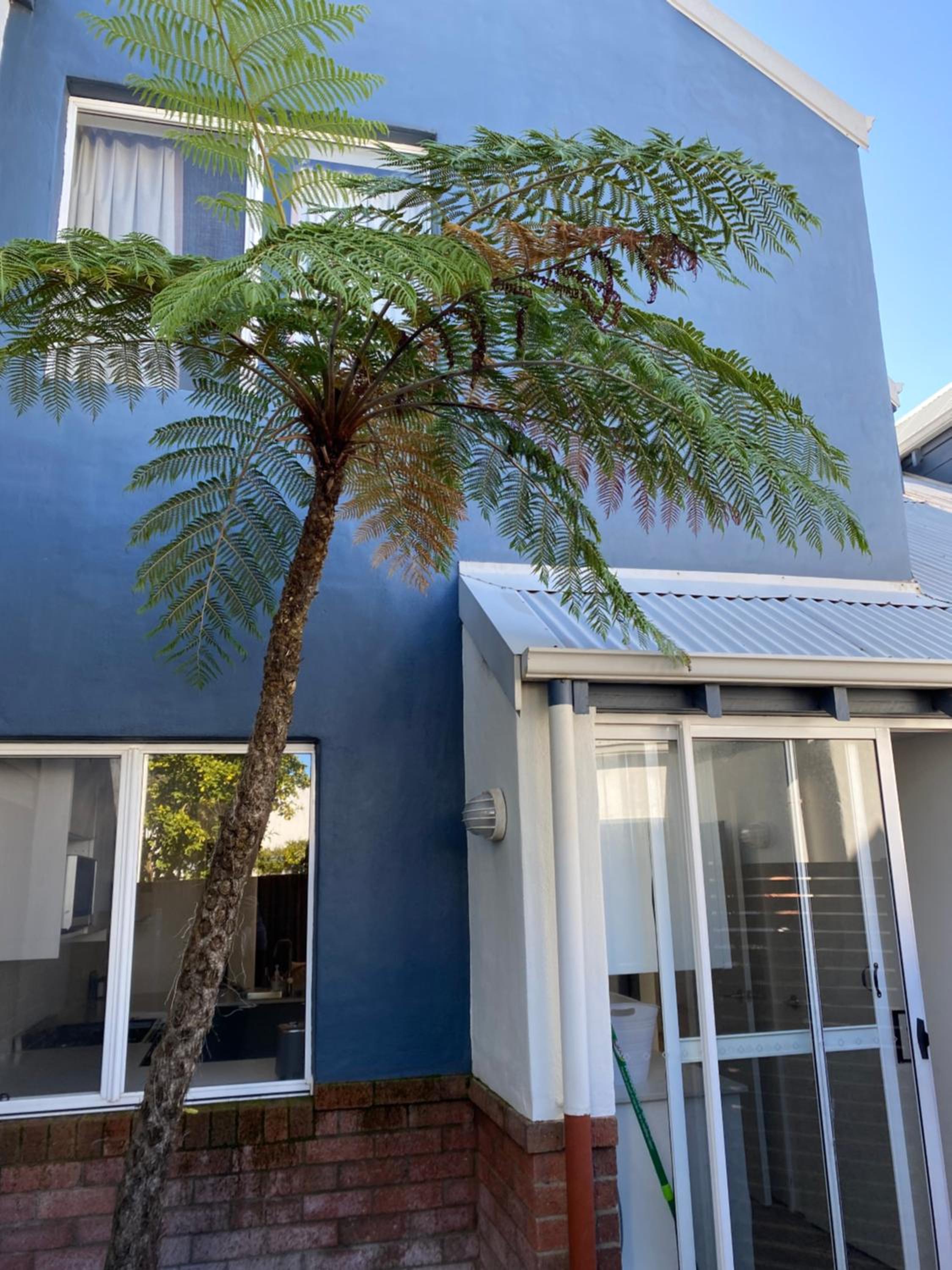 Abby’s Beach Villa