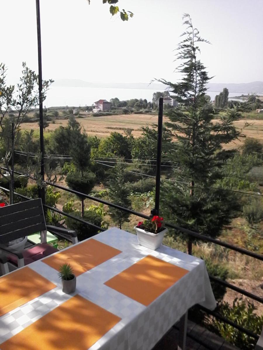 Dream Stone Holiday Bar Restaurant