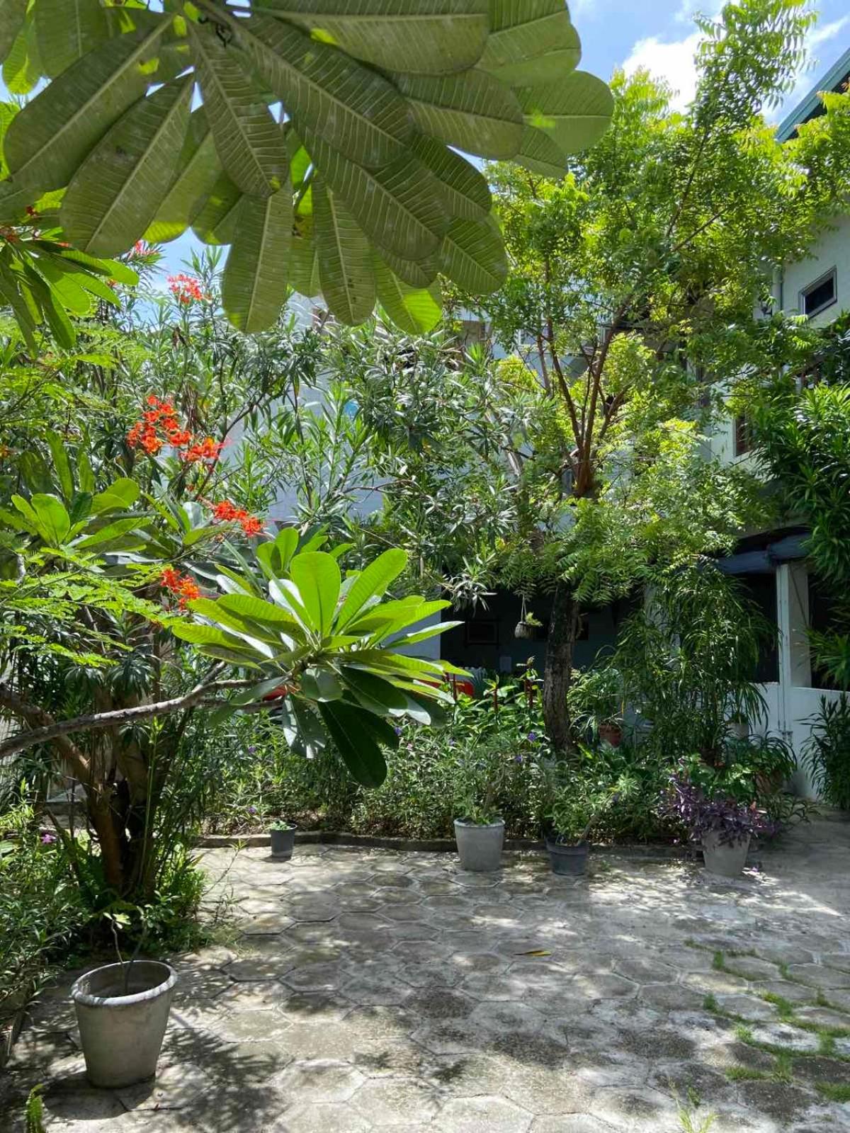 Cerulean View Residence