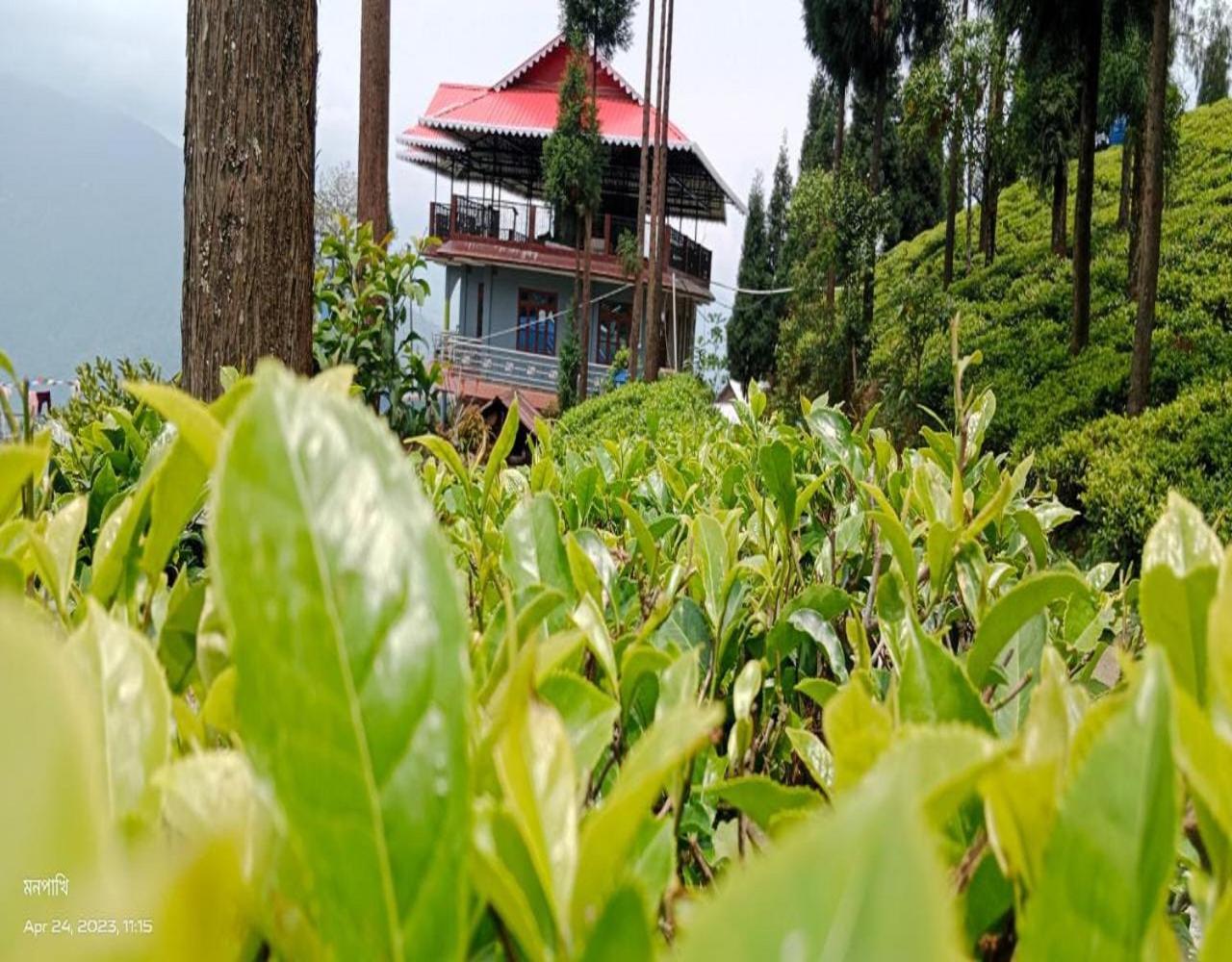 The Tea Garden Homestay by StayApart view 5